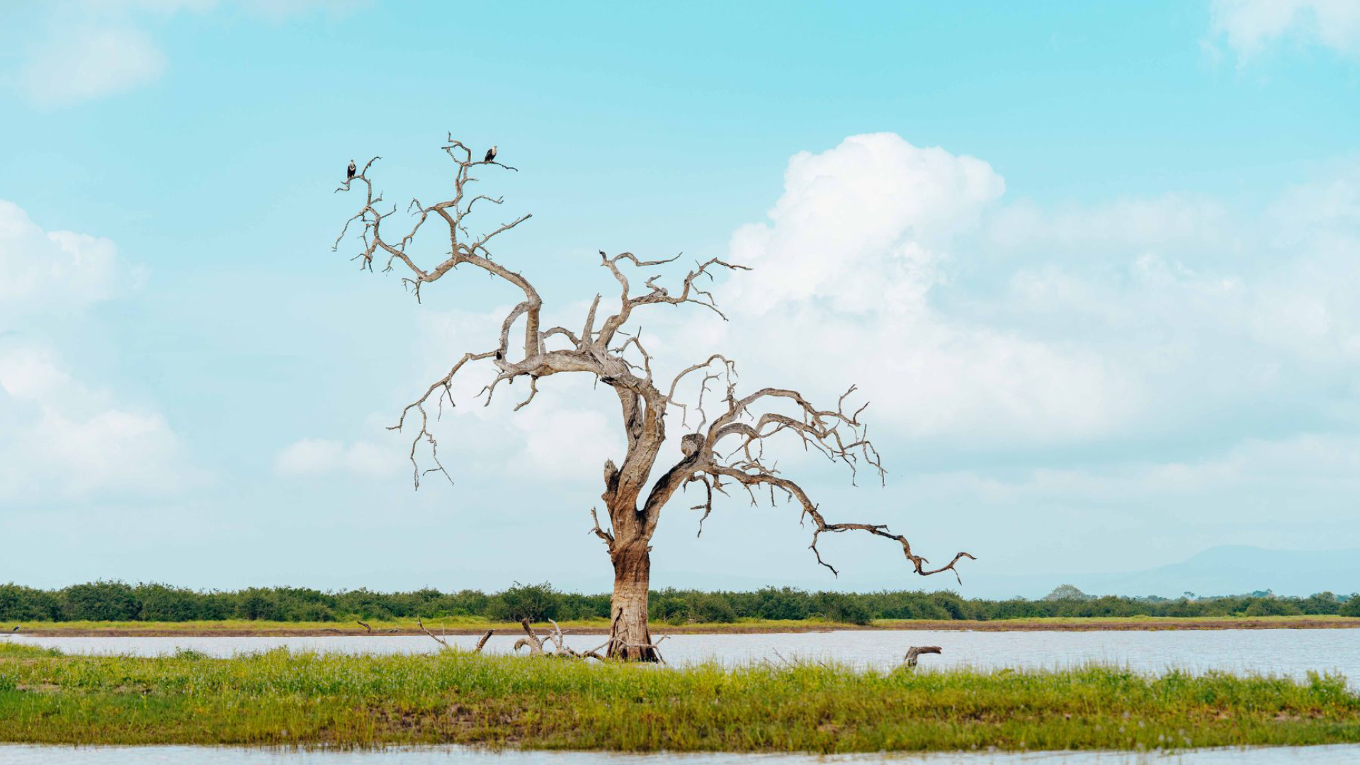 Nyerere National Park Rufuji River