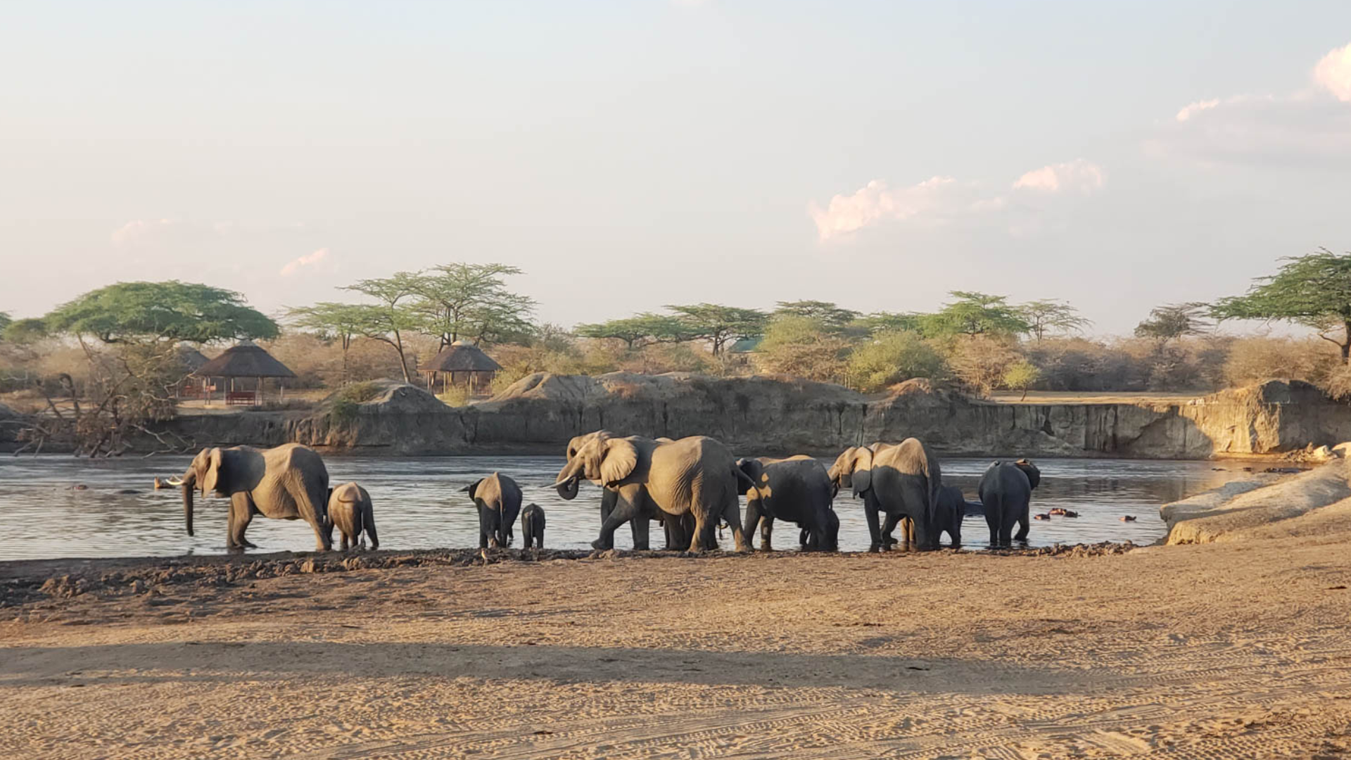 Nyerere National Park Big Five