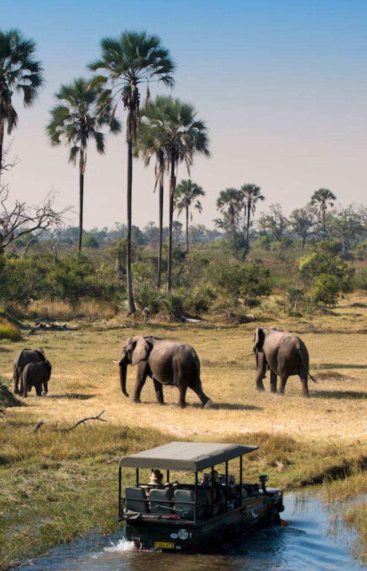  Nyerere National Park Game Drives