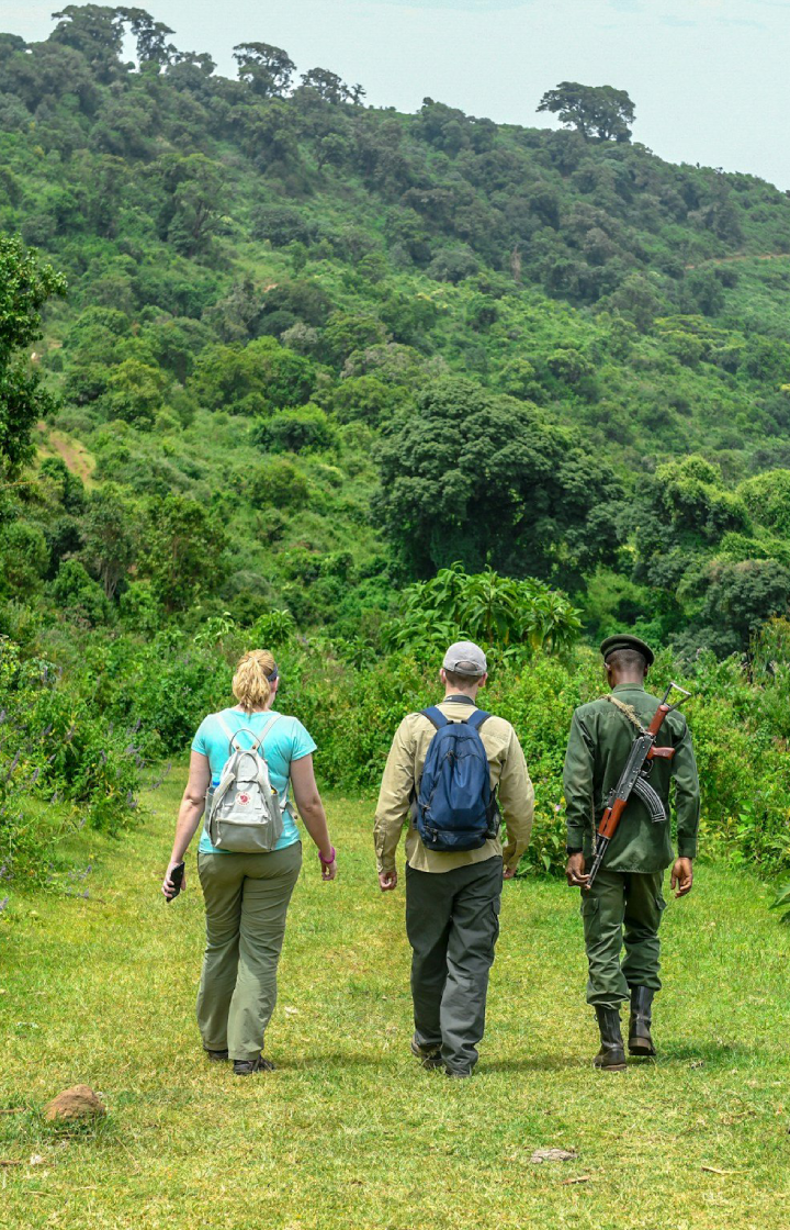 Nyerere National Park Walking Safari