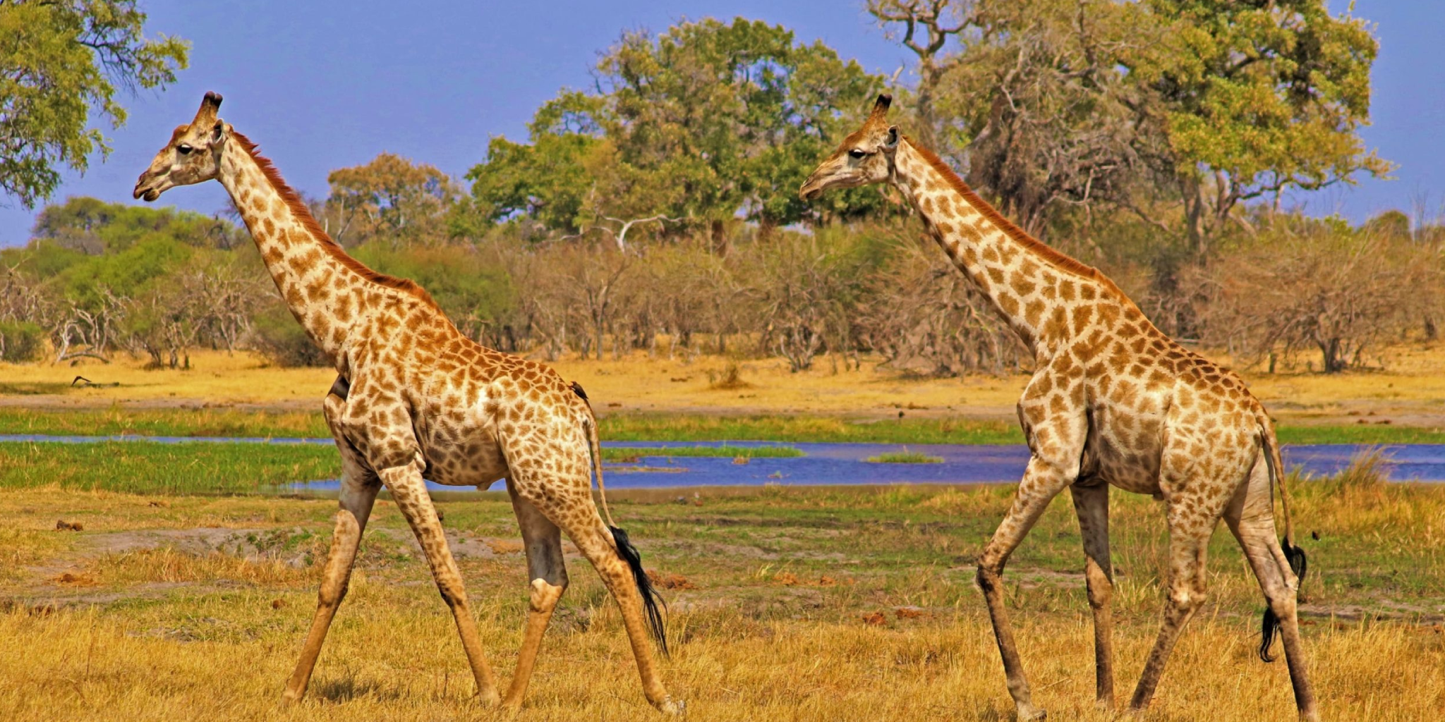 Nyerere National Park