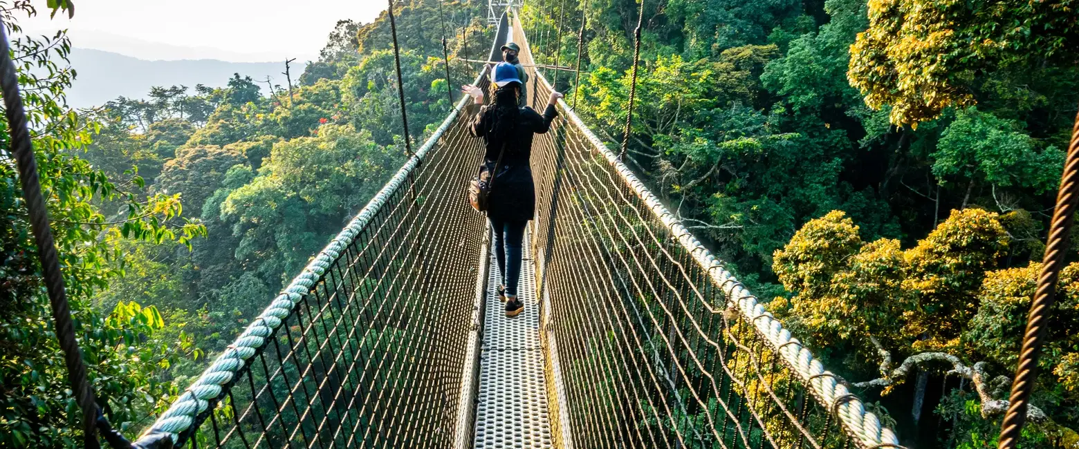 Nyungwe Forest National Park Wildlife