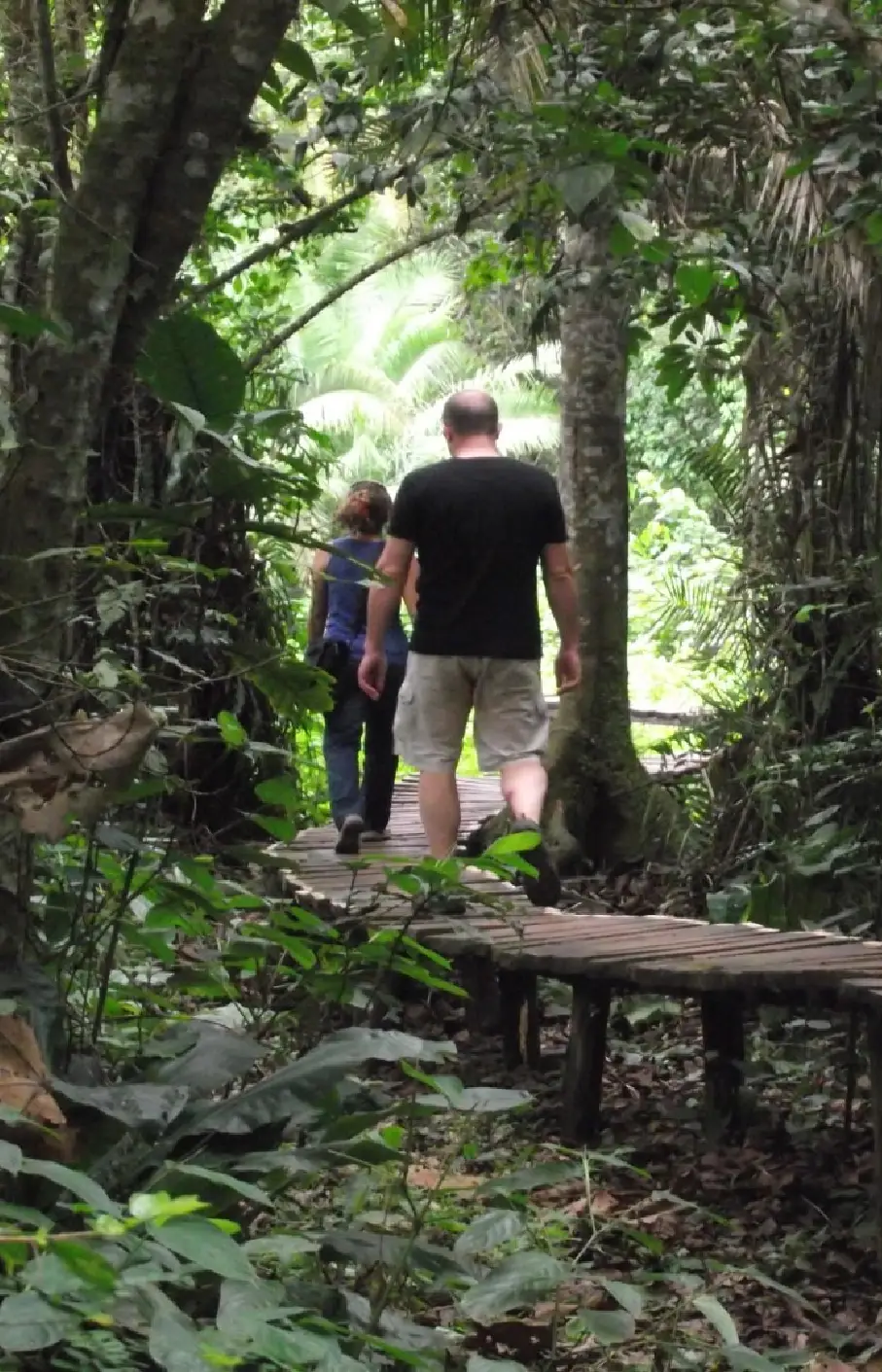 Nyungwe Forest National Park Nature Attraction