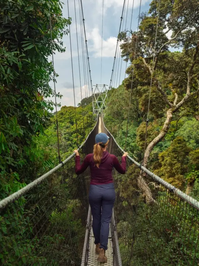 Nyungwe Forest National Park Dry Seasons