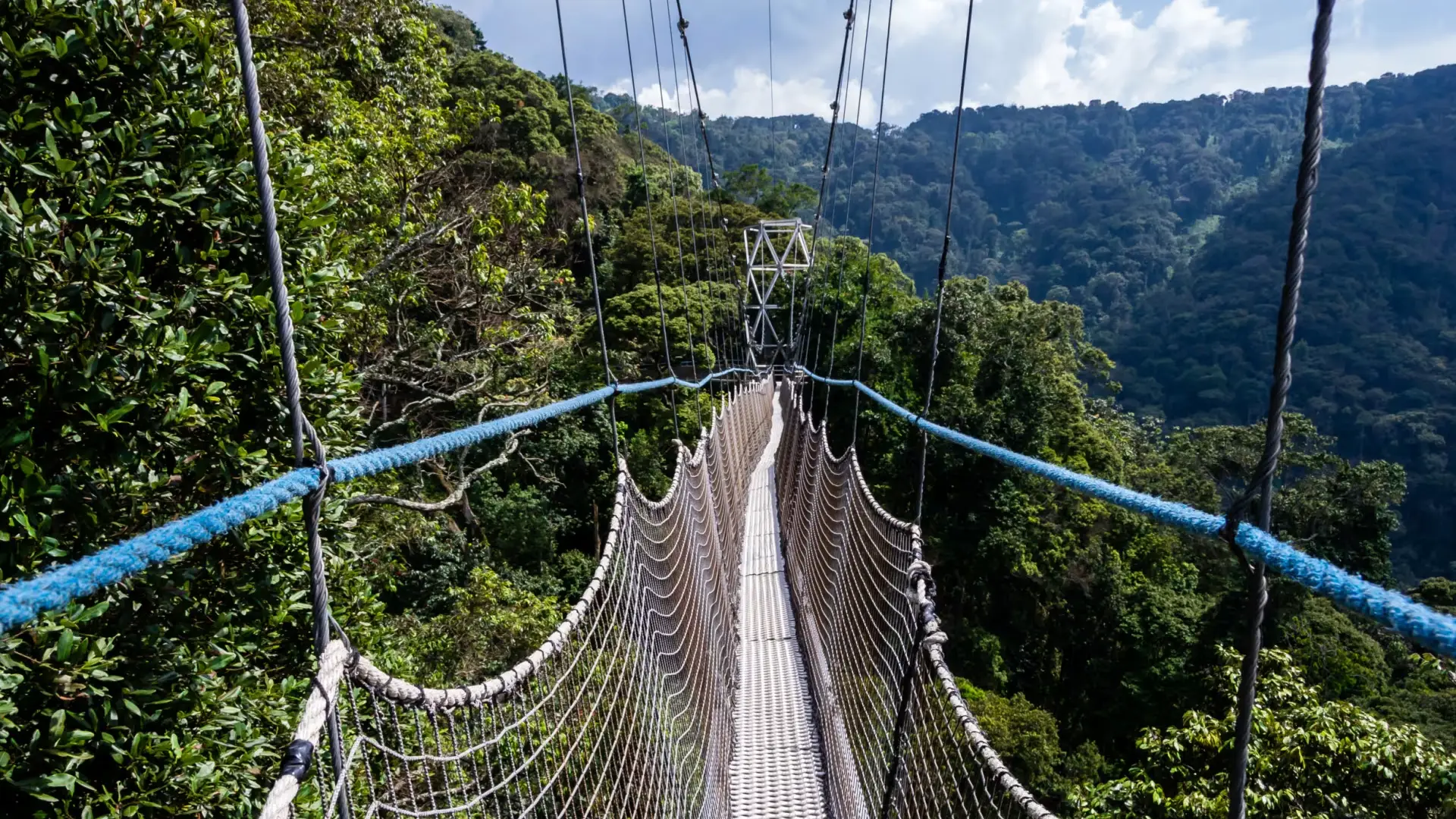 Nyungwe Forest National Park Attraction