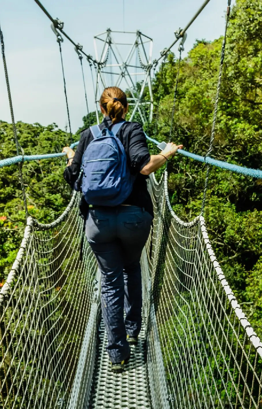 Nyungwe Forest National Park Attraction