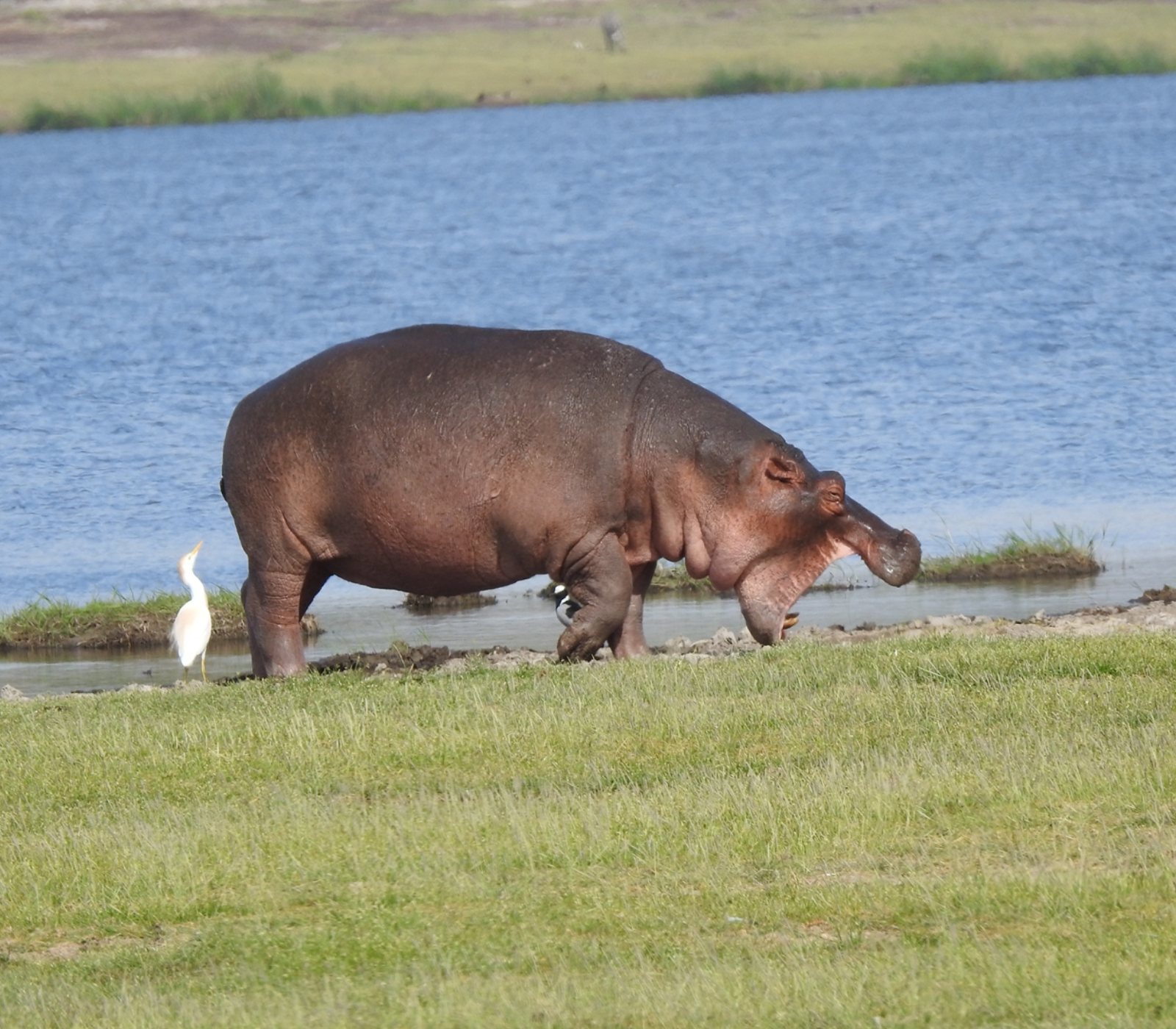 Ol Pejeta Conservancy Attractions
