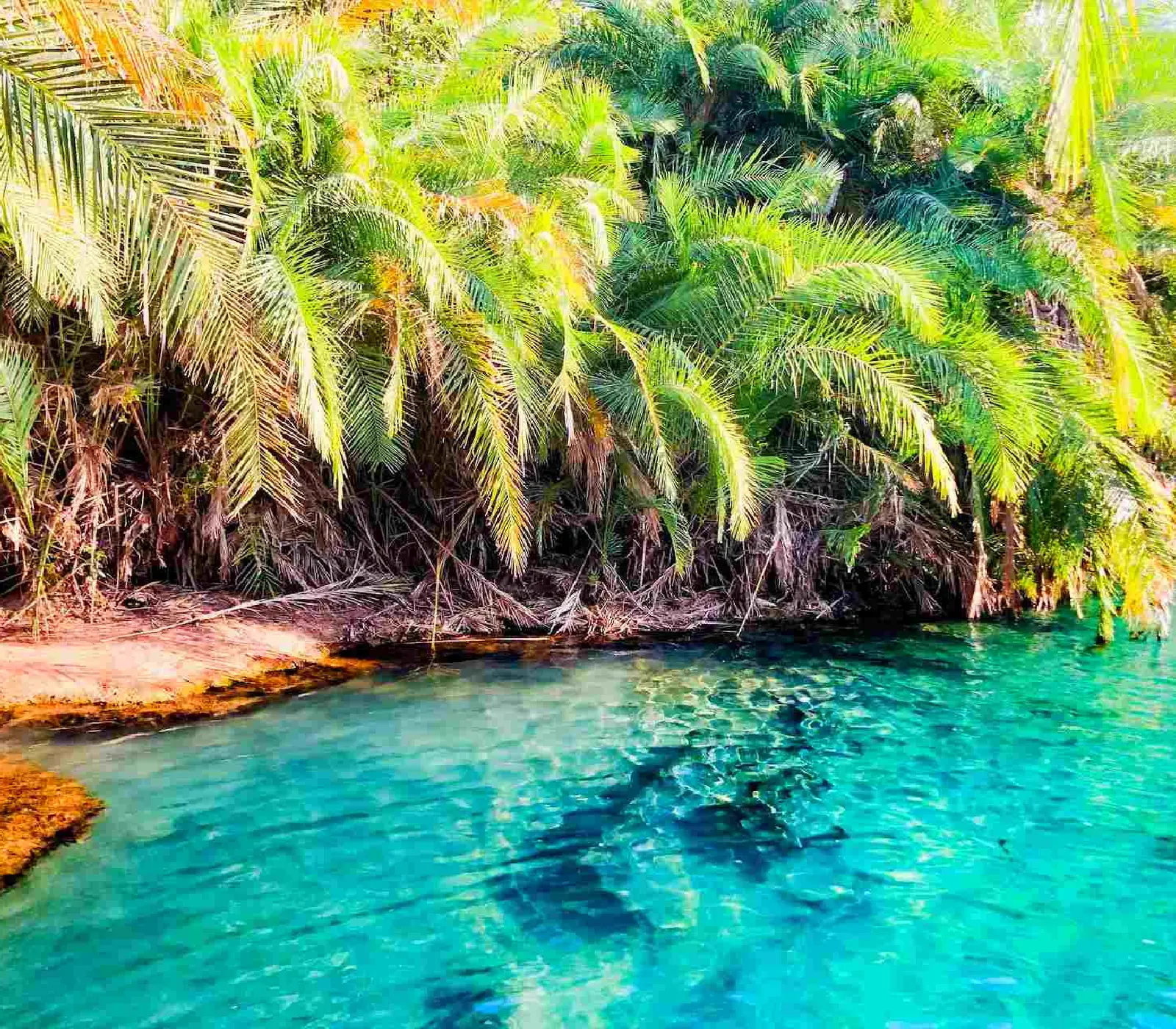  One Day Chemka Hot SpringsAttraction