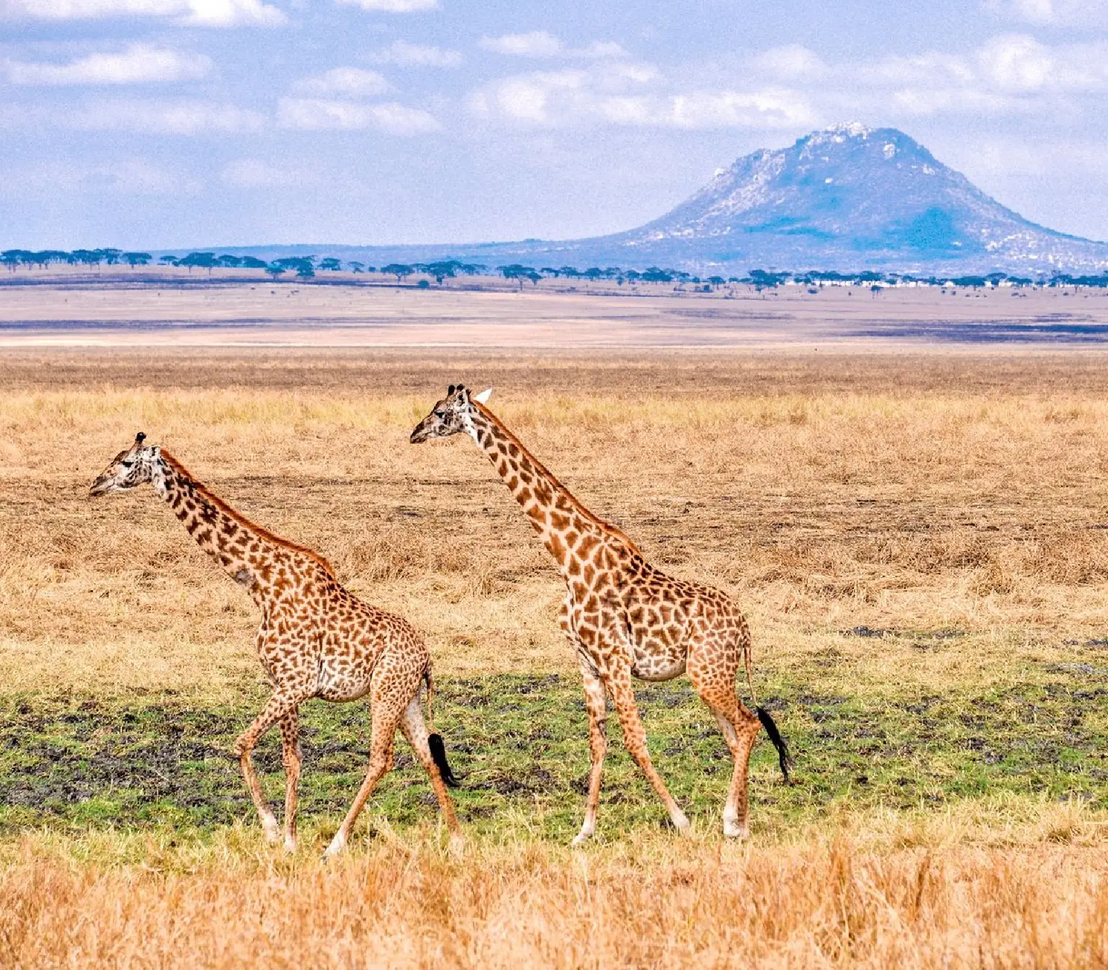 Ngorongoro Crater Day Trip Tour Attractions