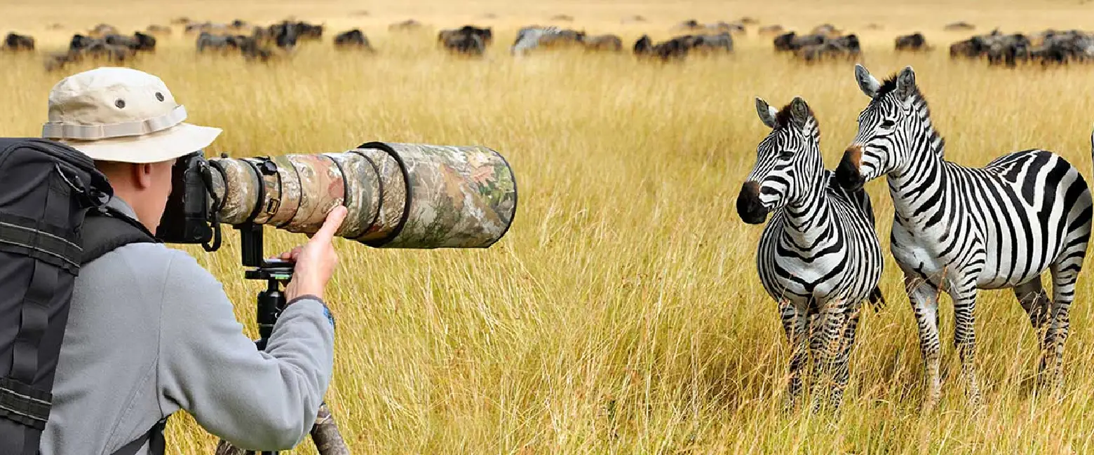 Photography Safaris wildlife