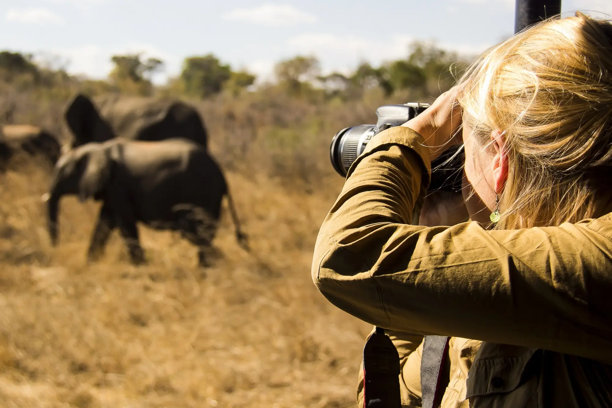 Photography Safaris experience