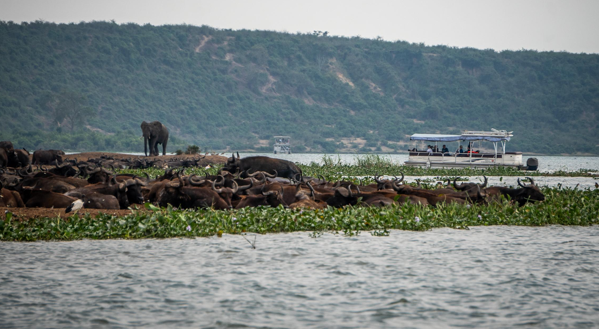 Queen Elizabeth National Park Views