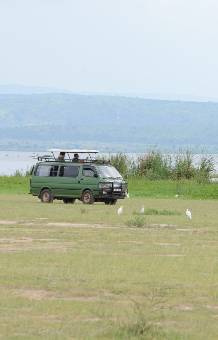 Queen Elizabeth National Park Game Drives