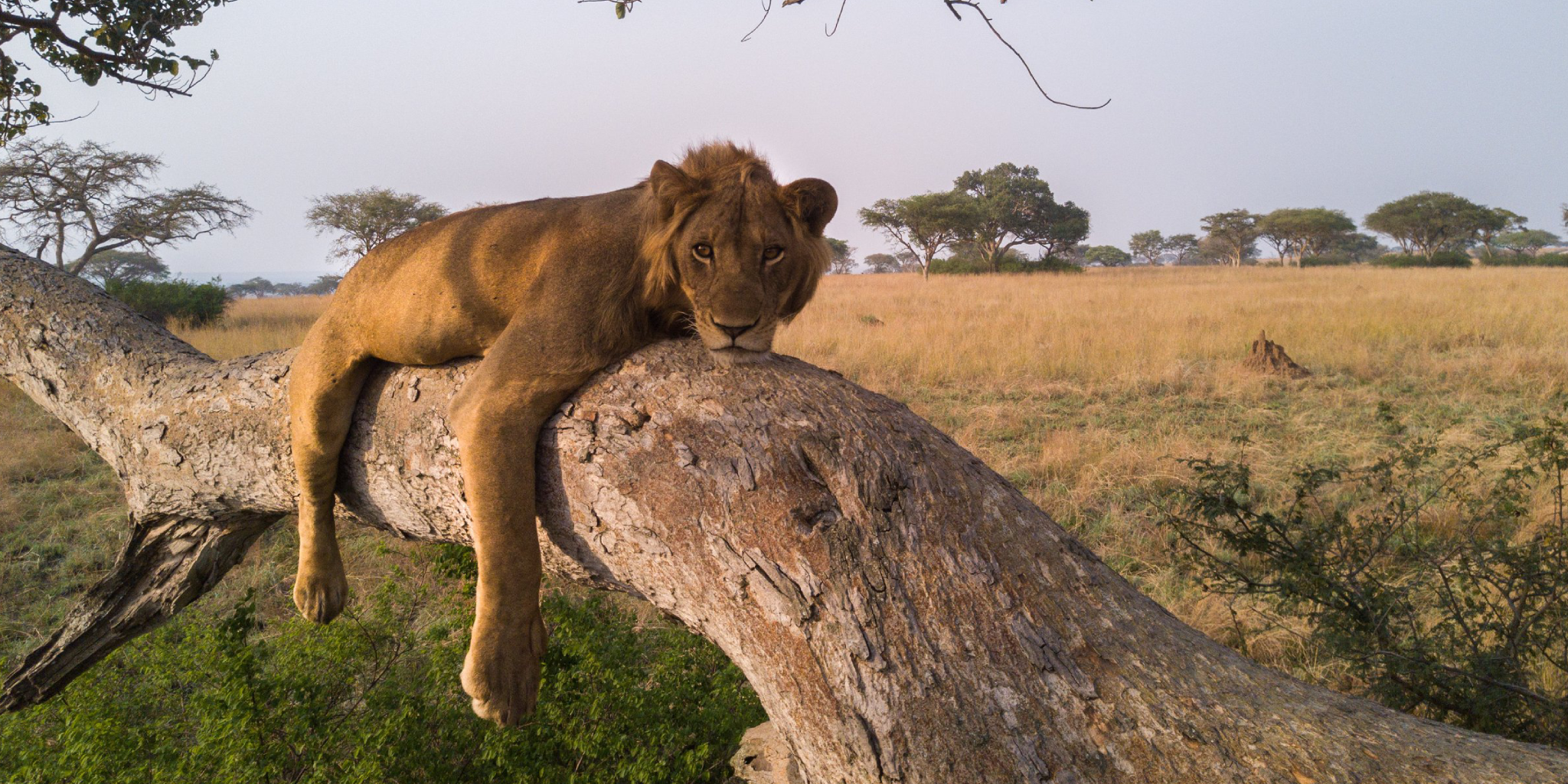 Queen Elizabeth National Park