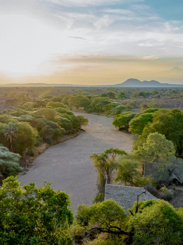 Wet Season in Ruaha National Park