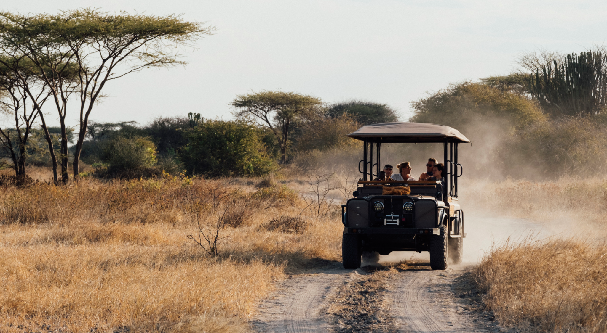 Get to Ruaha National Park