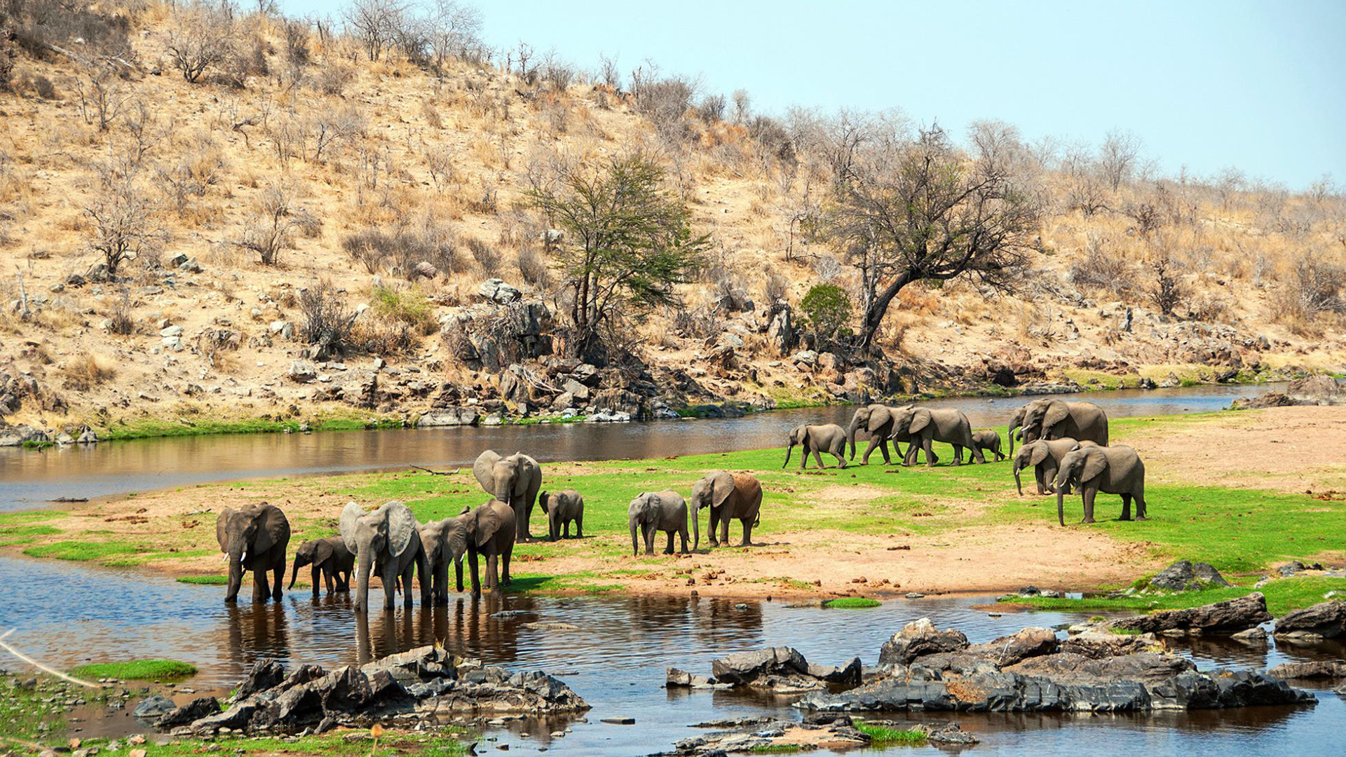 Ruaha National ParkBig Five