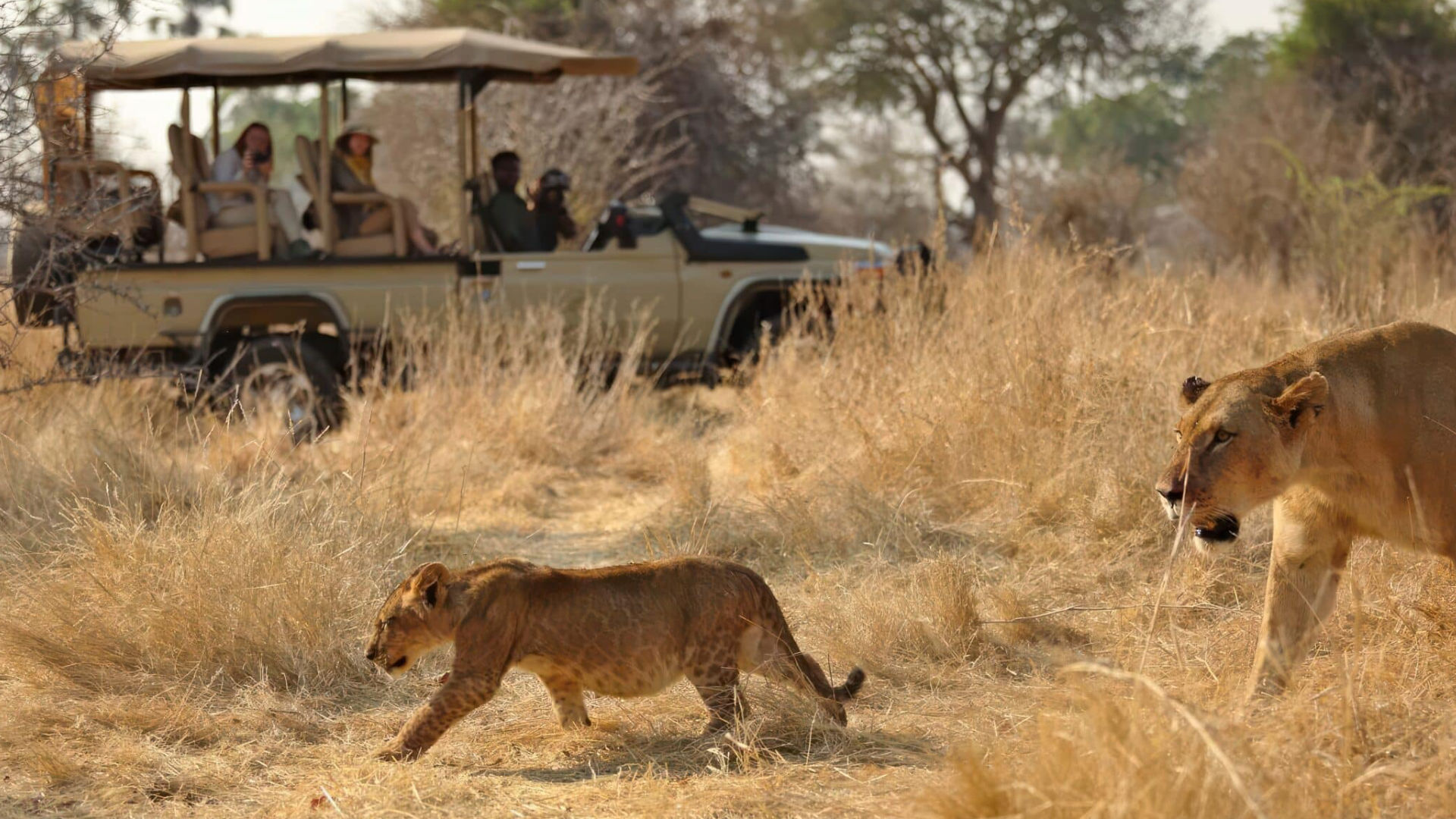 Ruaha National Park Game Drives