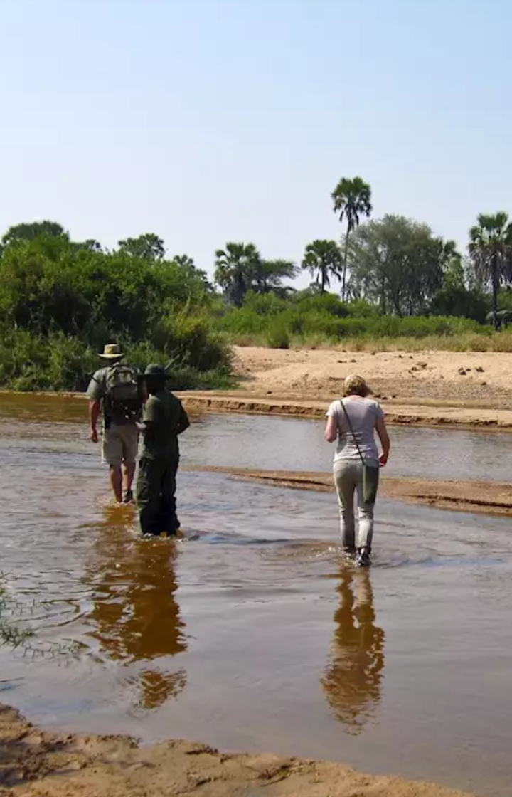 Ruaha National Park Walking Safari