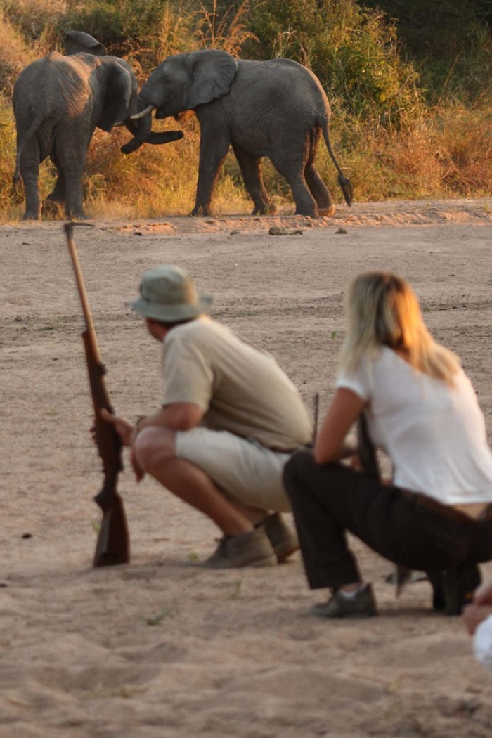 Tanzania Destinations Ruaha National Park