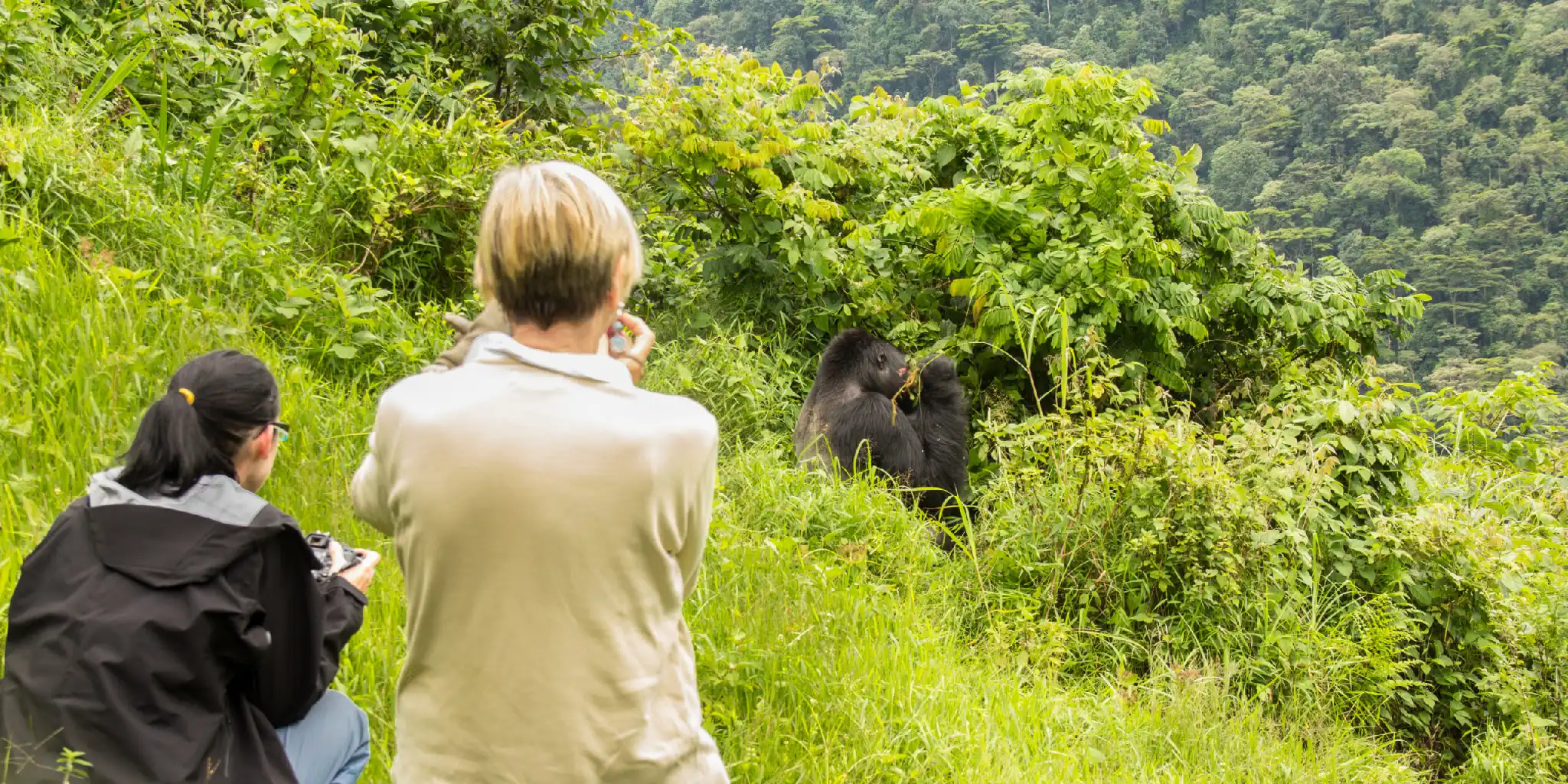 Rwanda  Safari Faqs