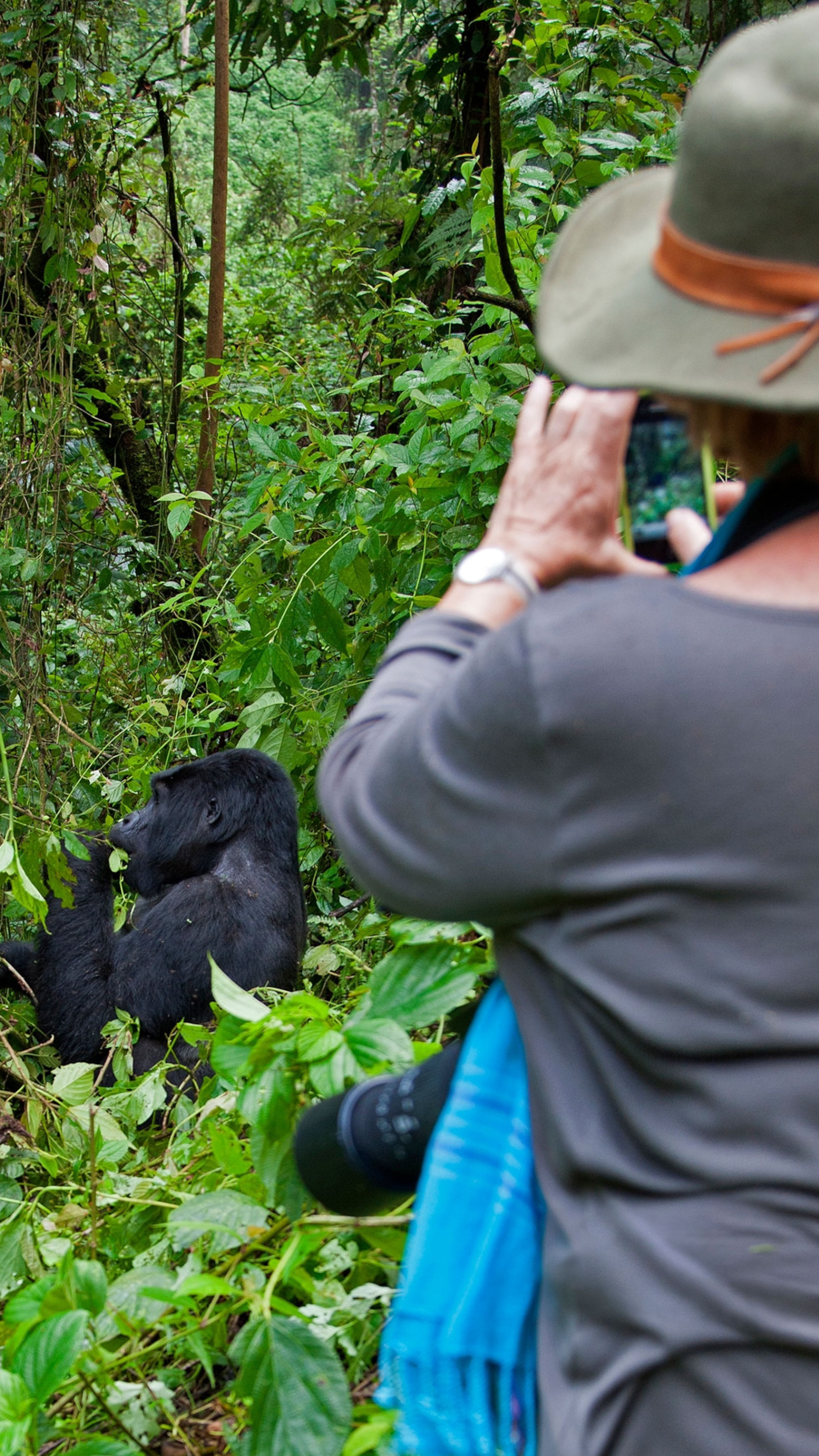Rwanda Wildlife Viewing