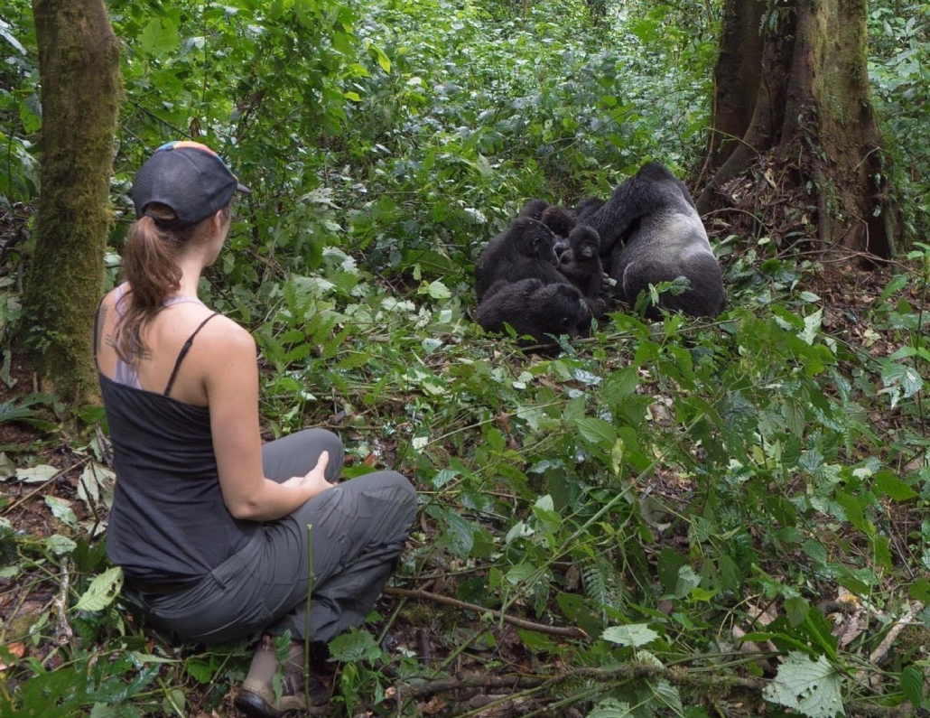 Rwanda Safaris Gorilla Trekking