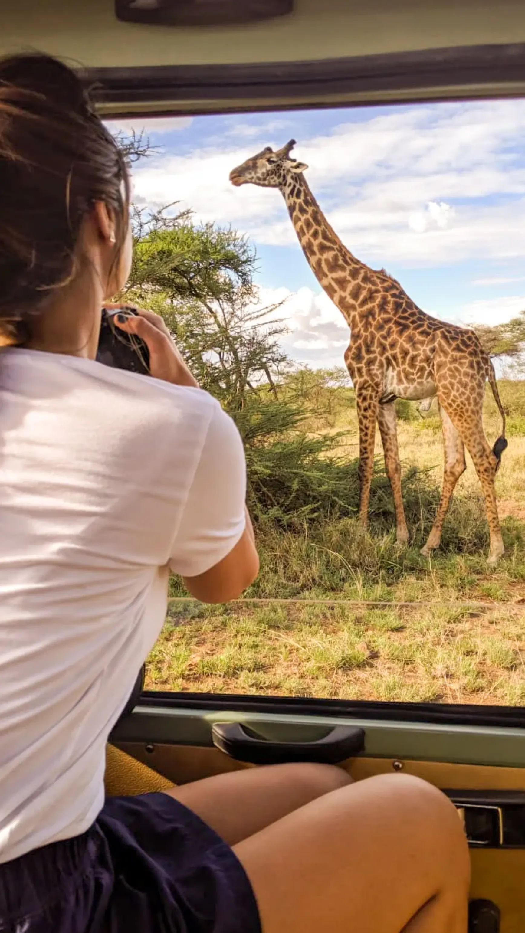 Tanzania Wildlife Viewing
