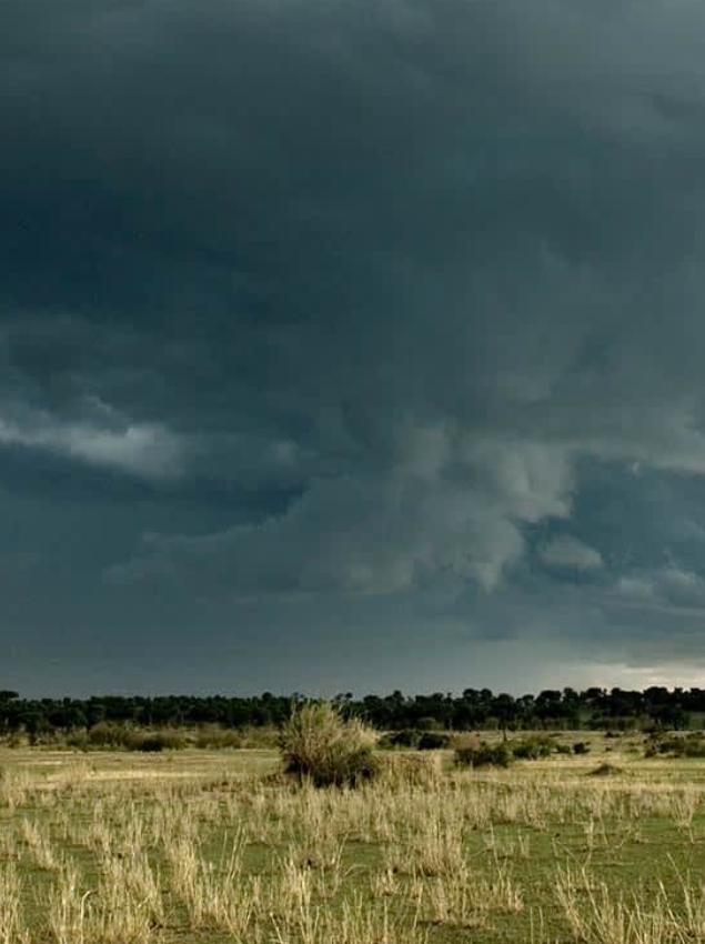 Wet Season in Serengeti National Park