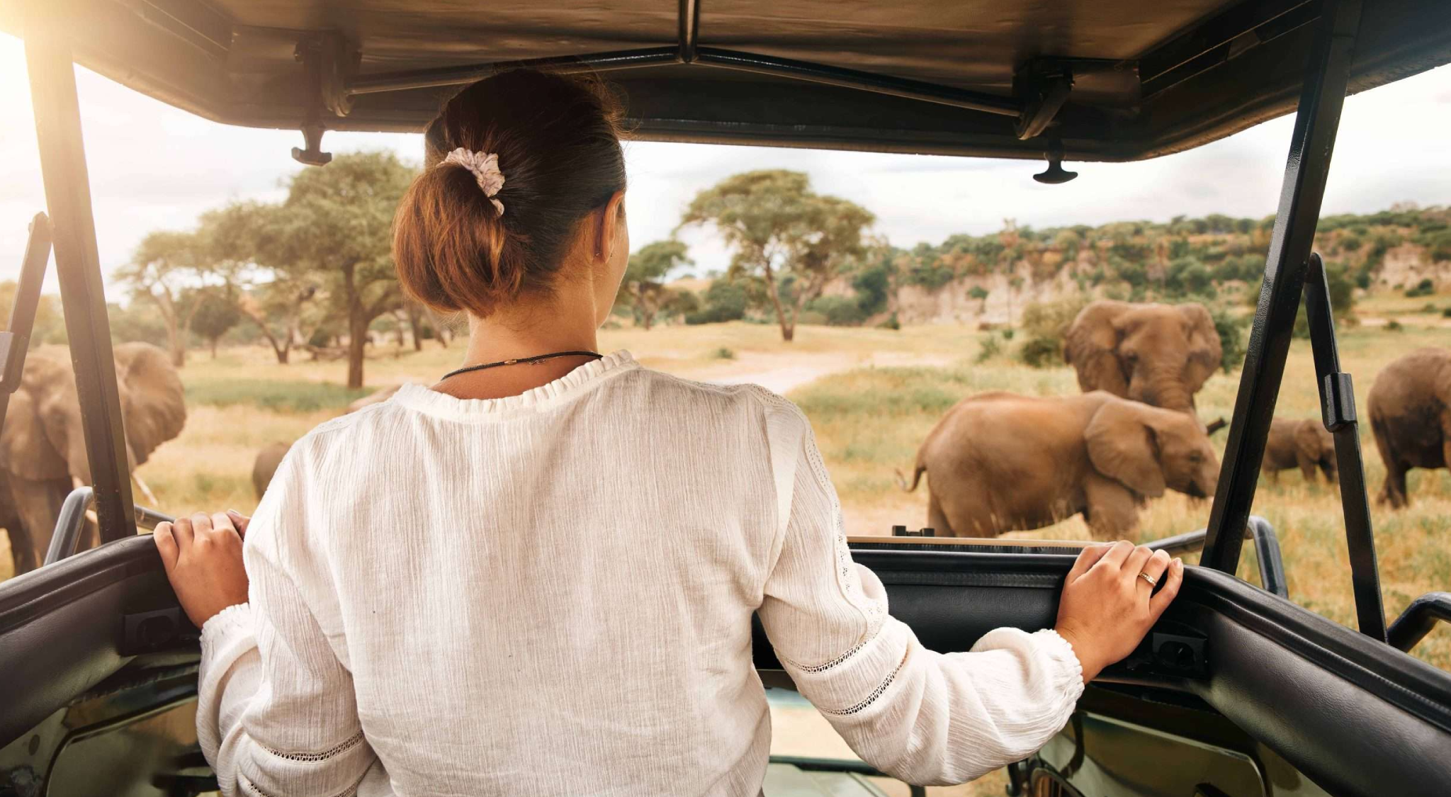 Get to Serengeti National Park