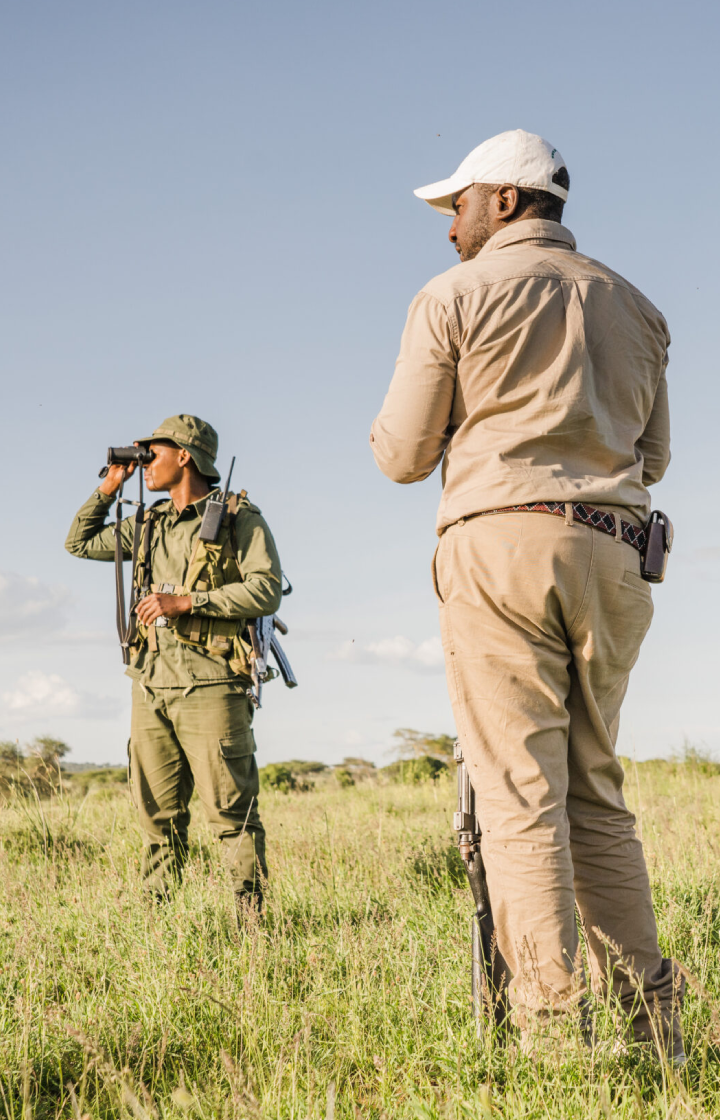 Serengeti National Park Walking Safari Experience
