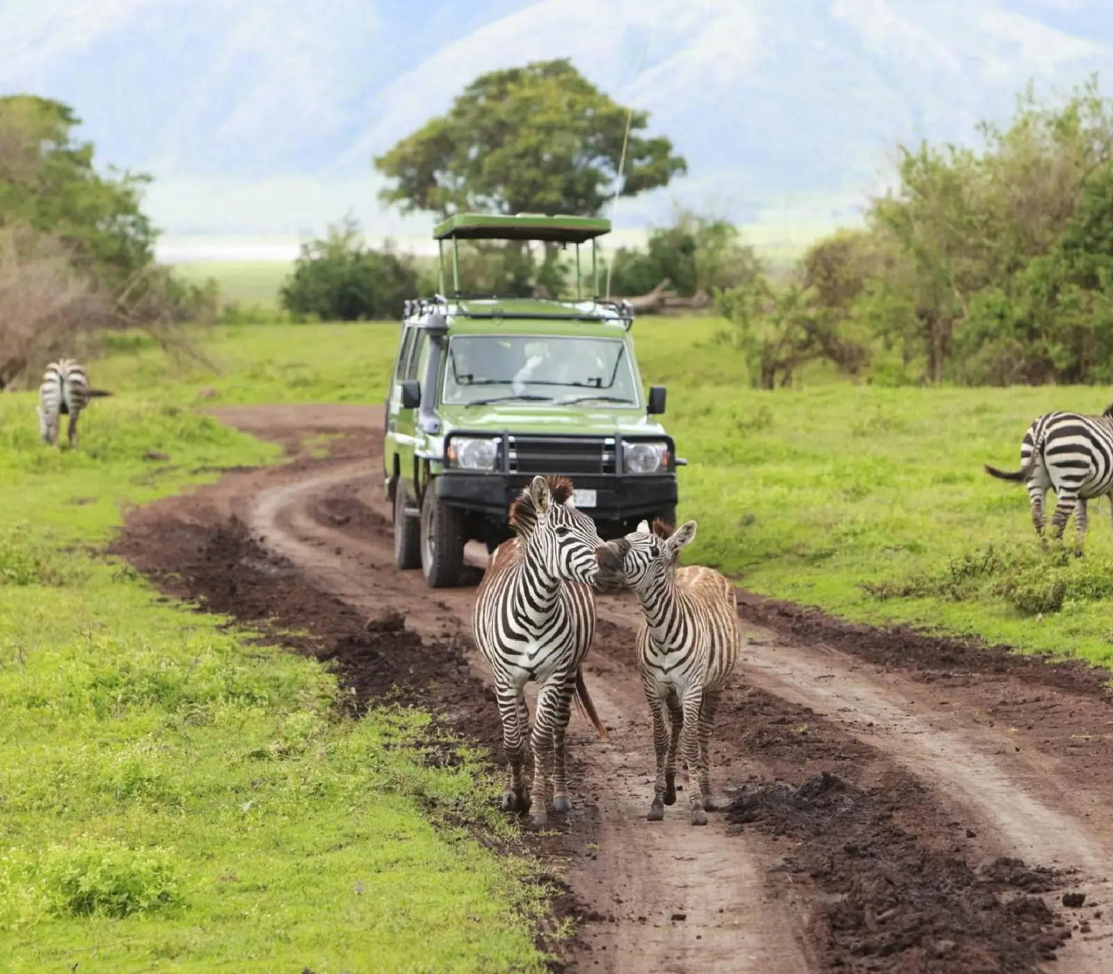 Serengeti National Park Day Trip Attraction 