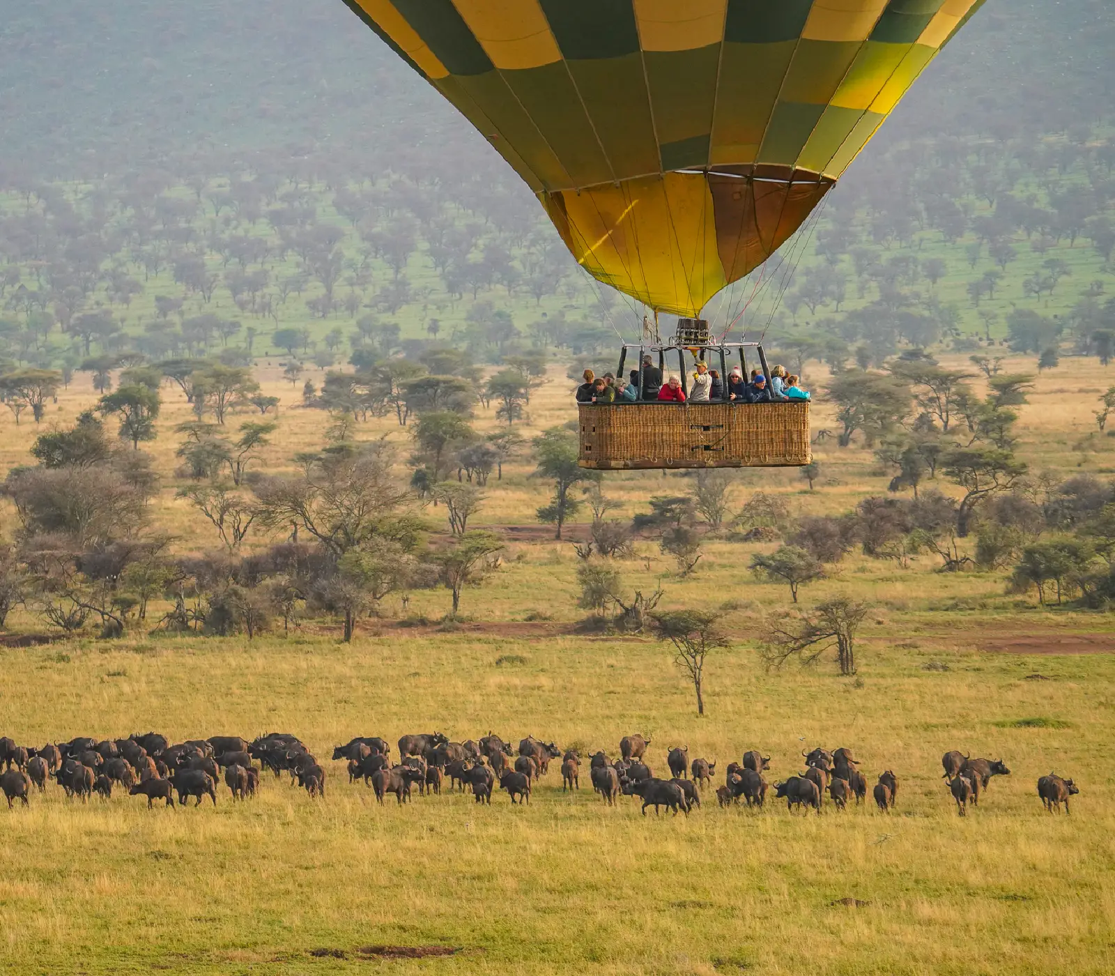 Serengeti National Park Day Trip Attraction