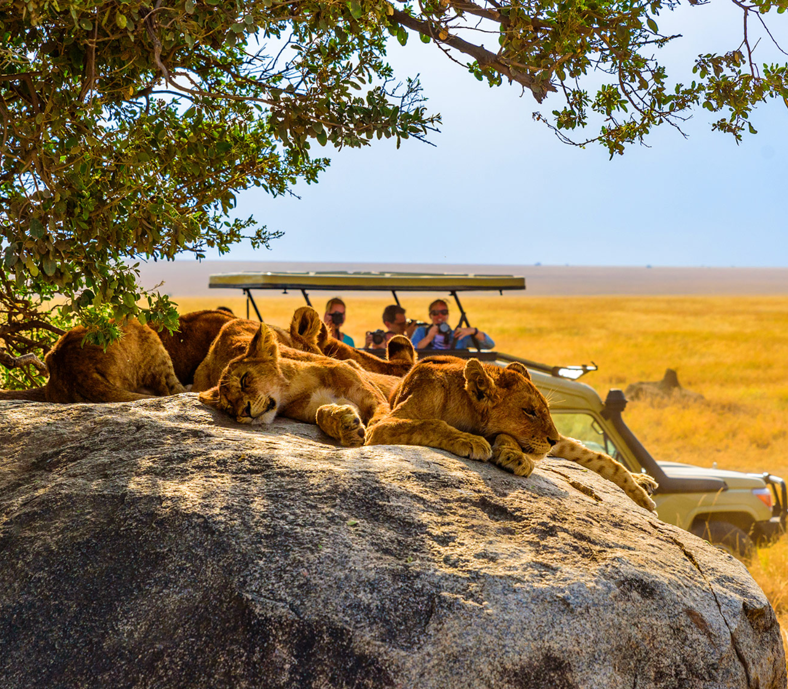 Tanzania Destinations Game Drives