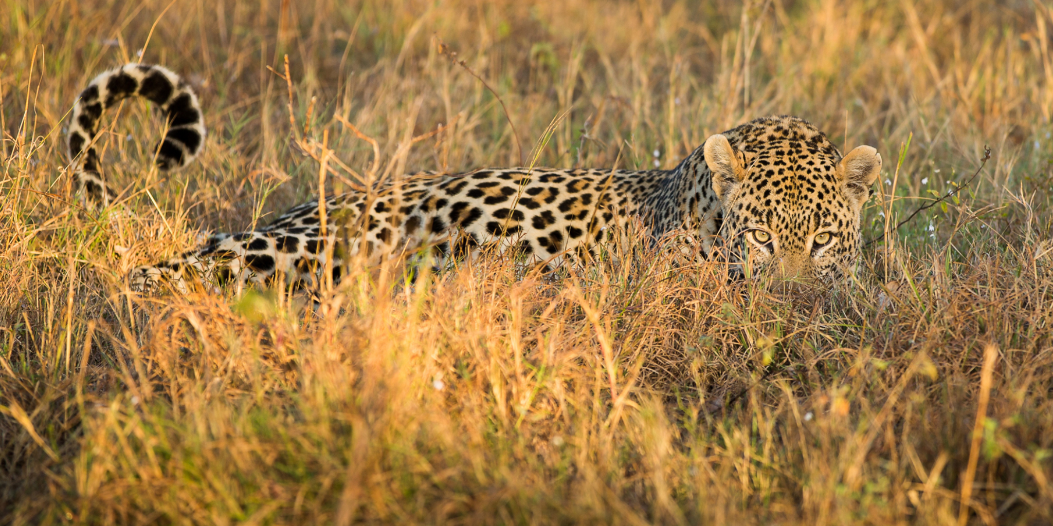 Tanzania Destinations