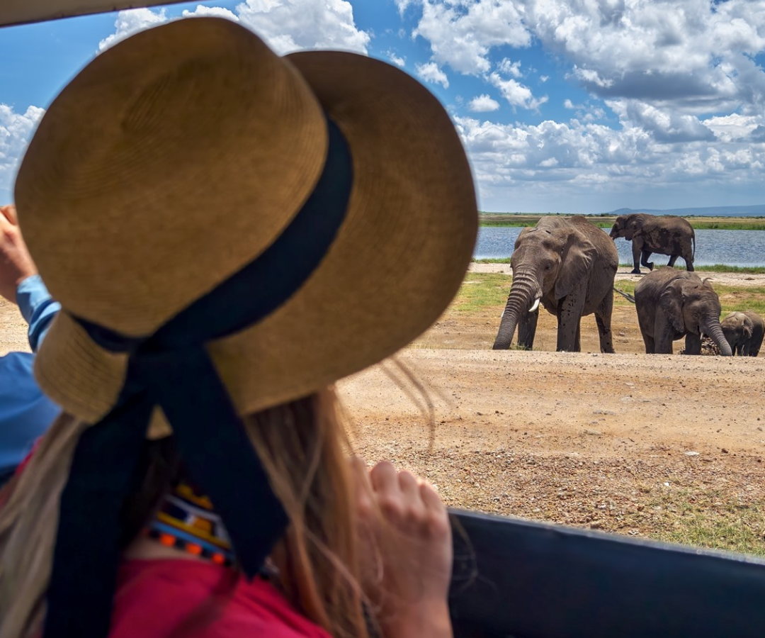 Kenya Safaris Wildlife Adventure