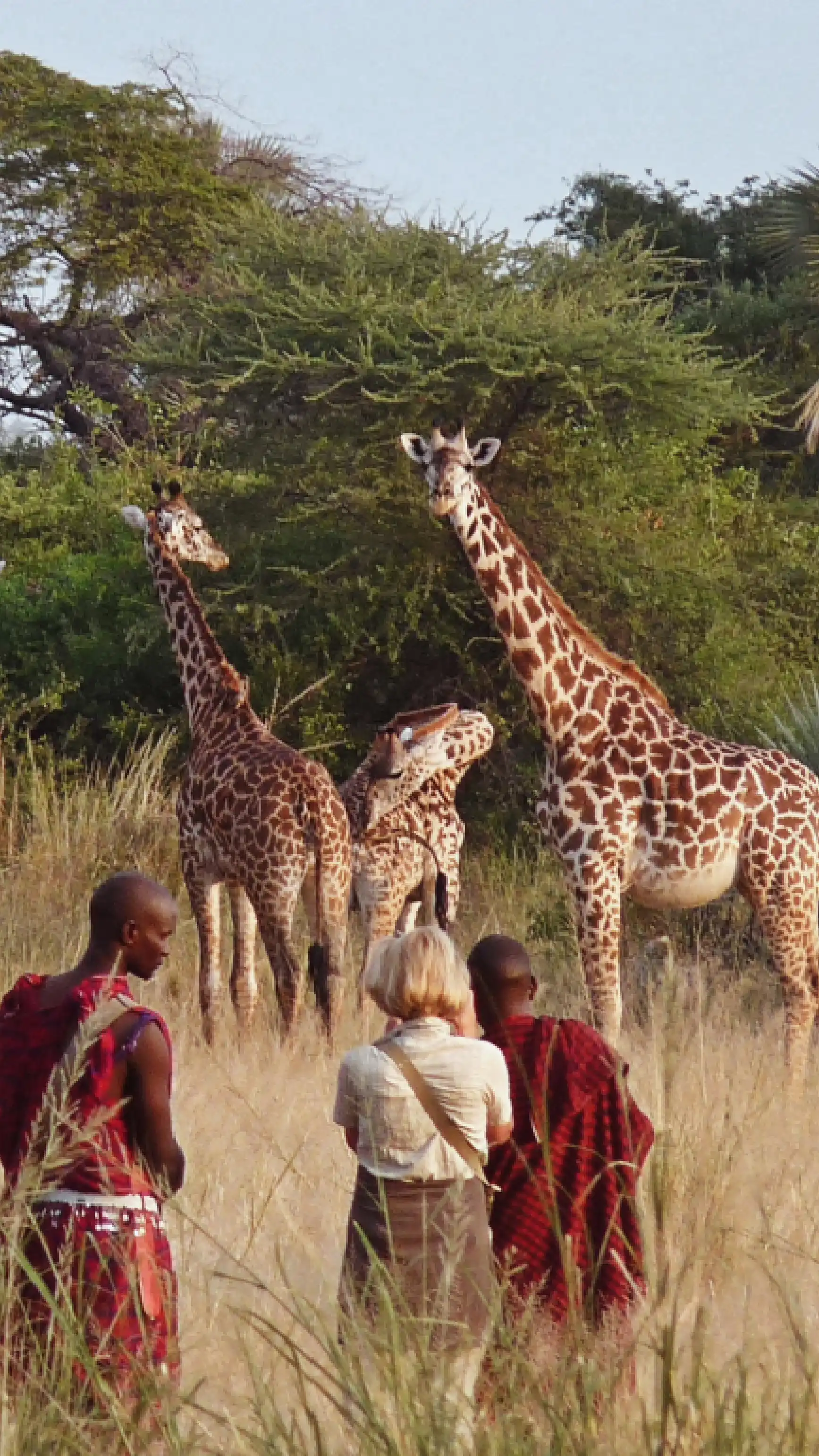 Tanzania Travel Guide