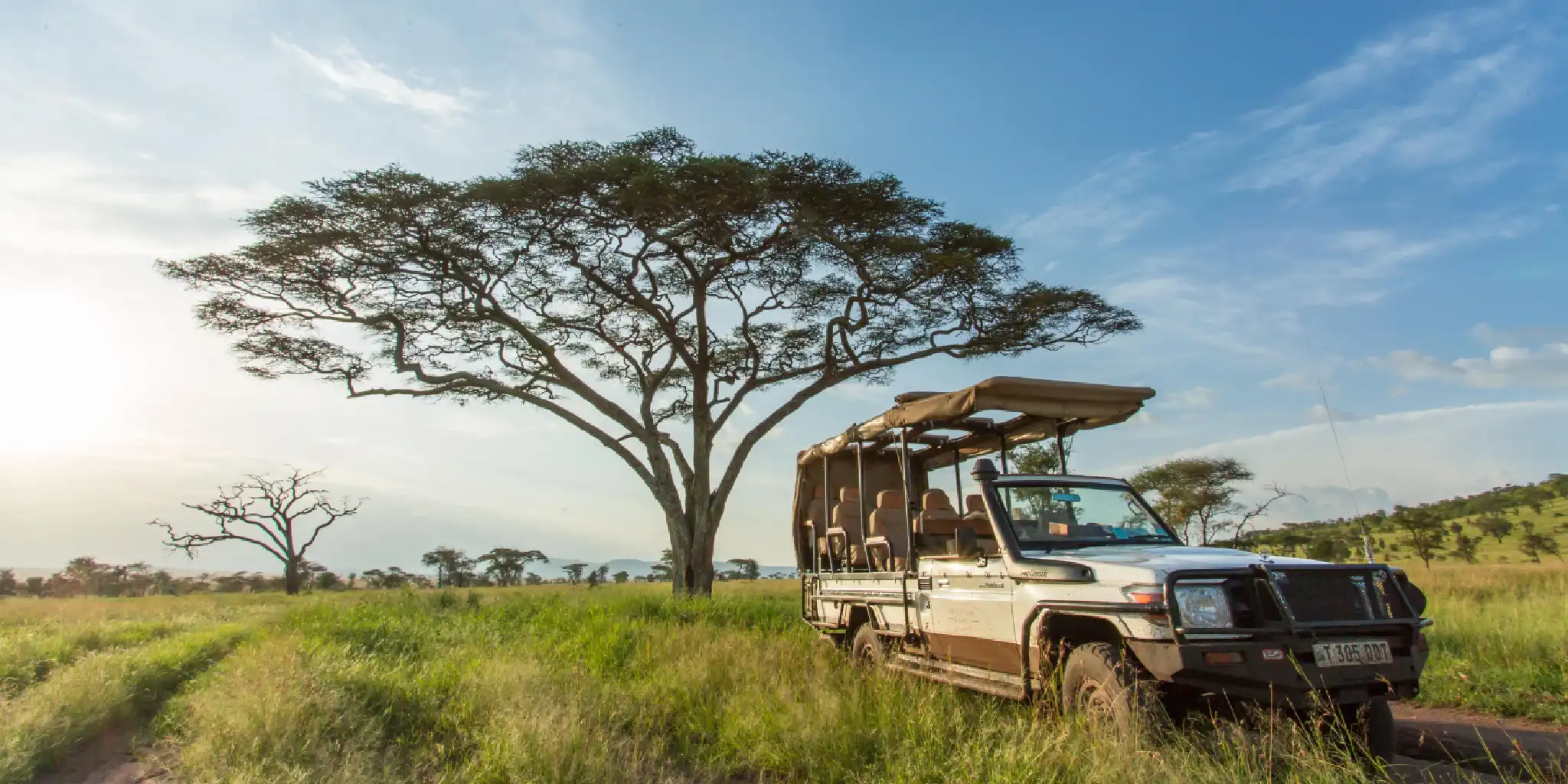 Tanzania Travel Guide