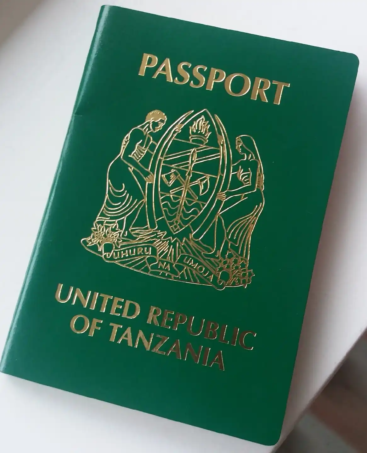 How to Apply for the Tanzania Visa Eta