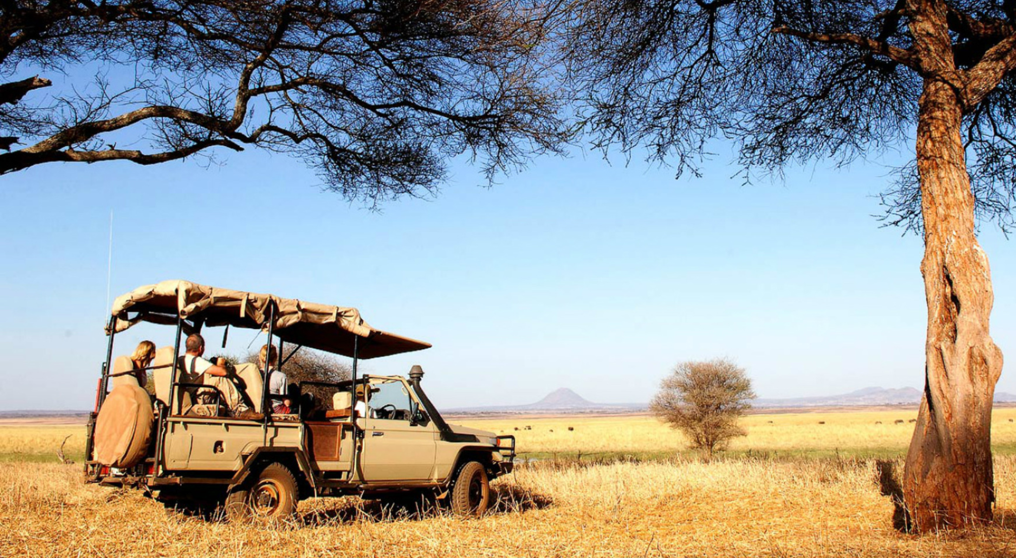 Get to Tarangire National Park