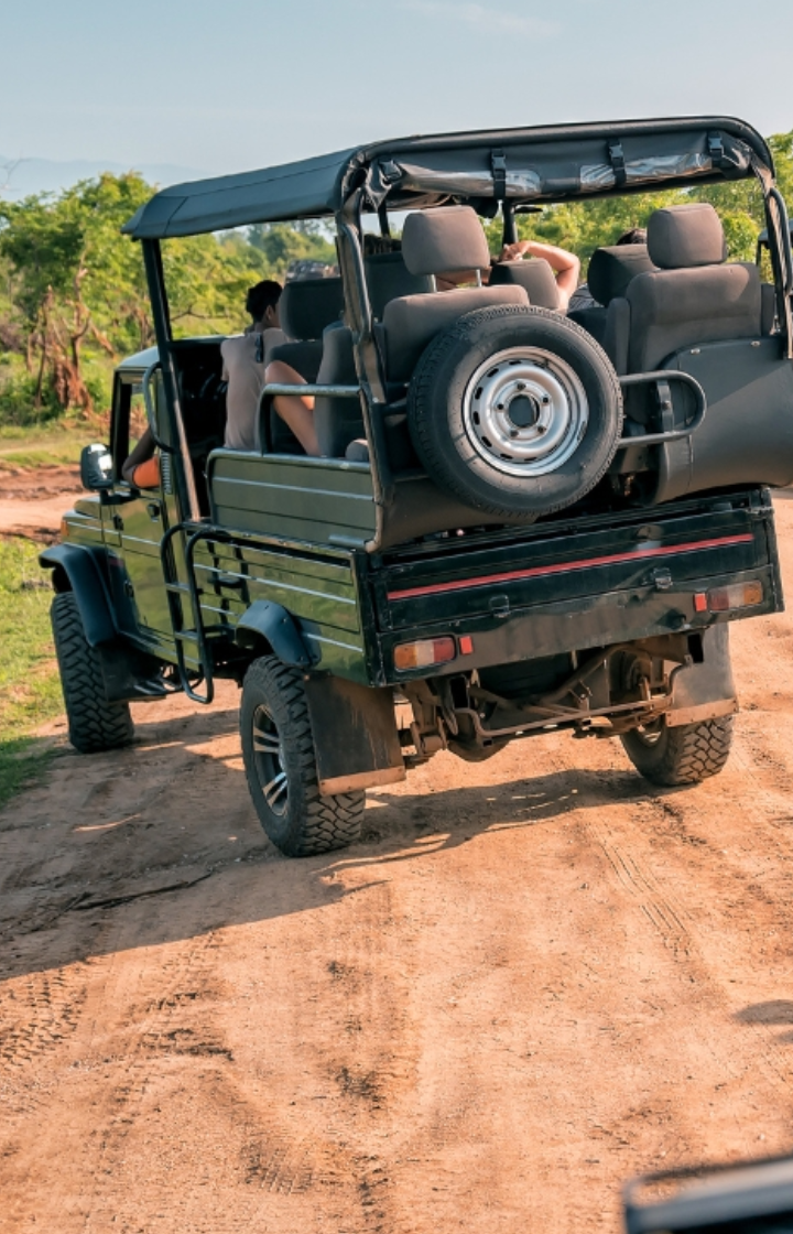 Tarangire National Park Game Drives