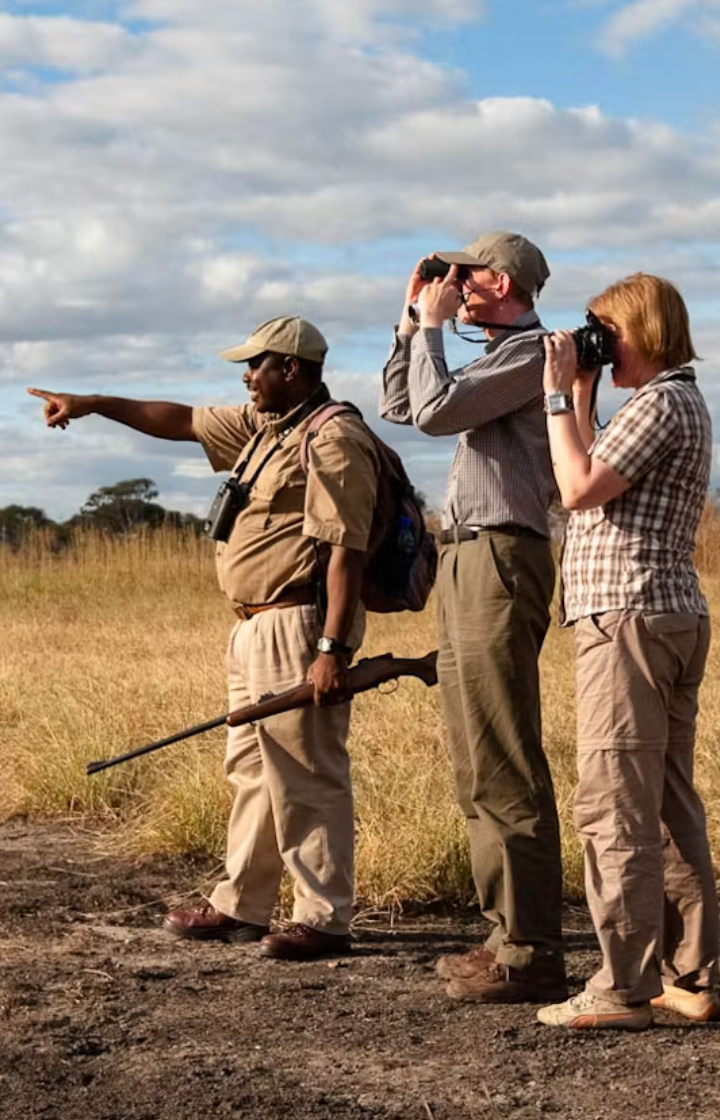 Tarangire National Park Guided Walking Safaris