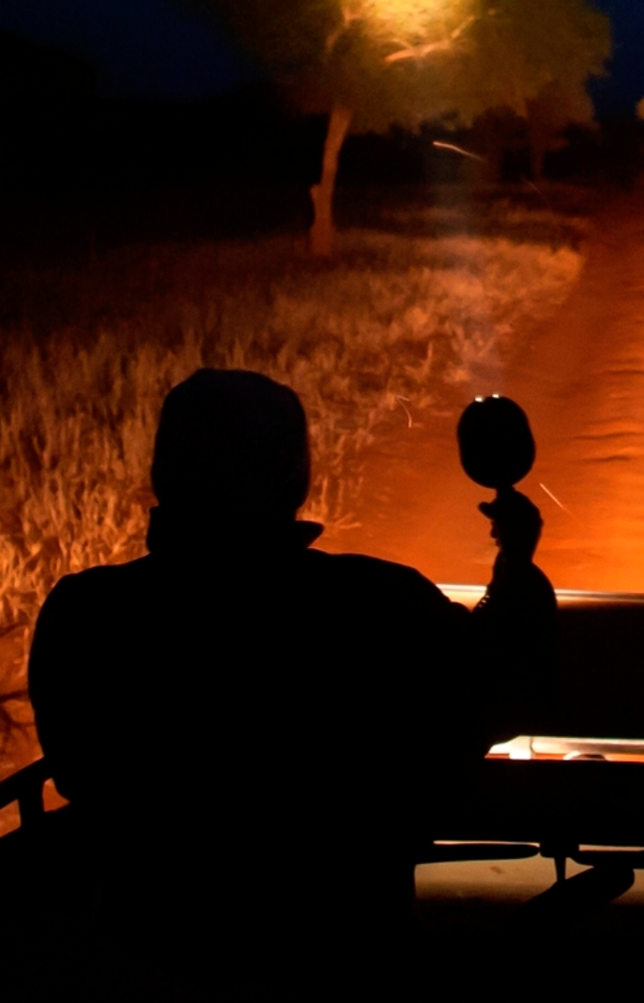 Tarangire National Park Night Drives