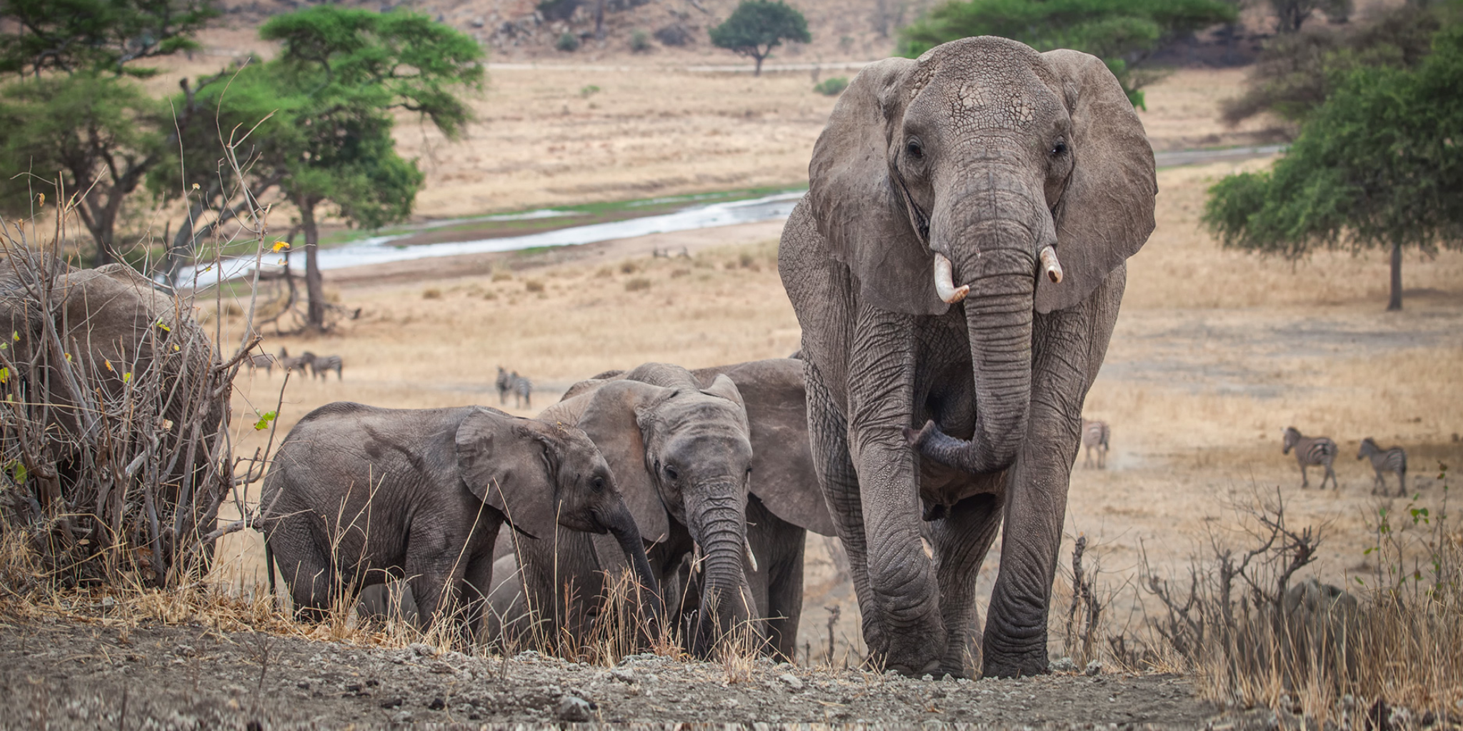 Tarangire National Park