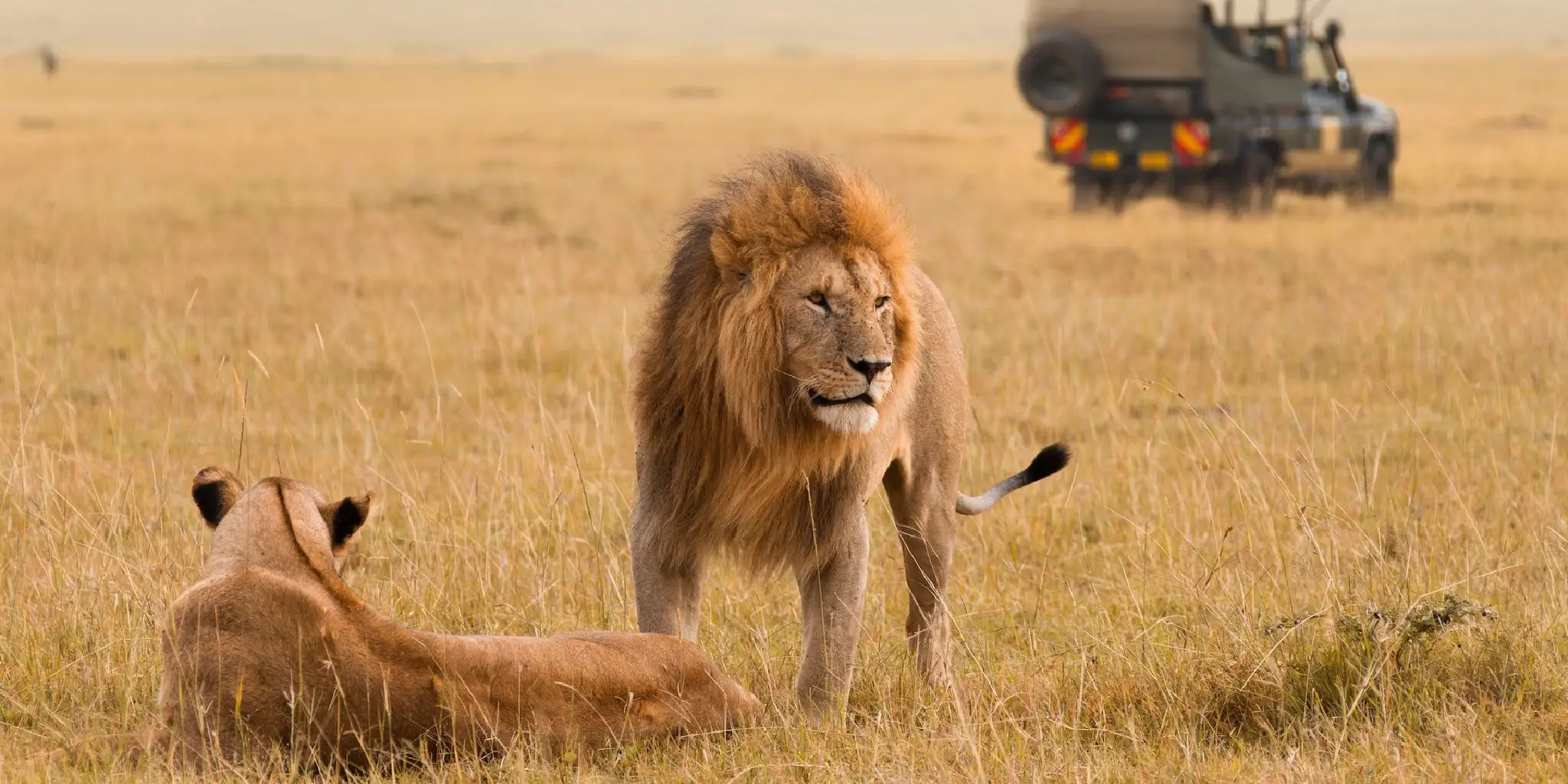 Things to Do in Kenya