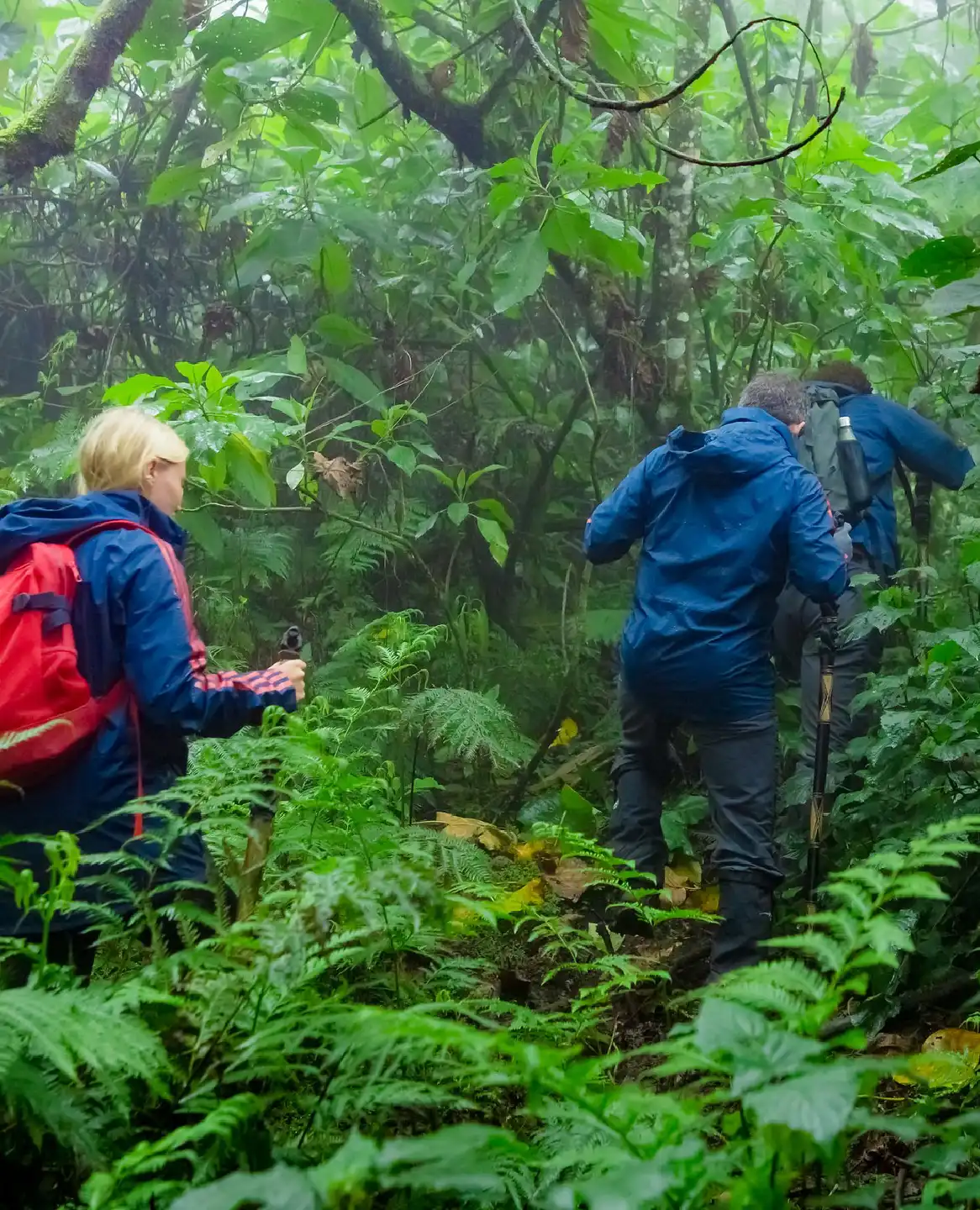 Things to Do in Rwanda 