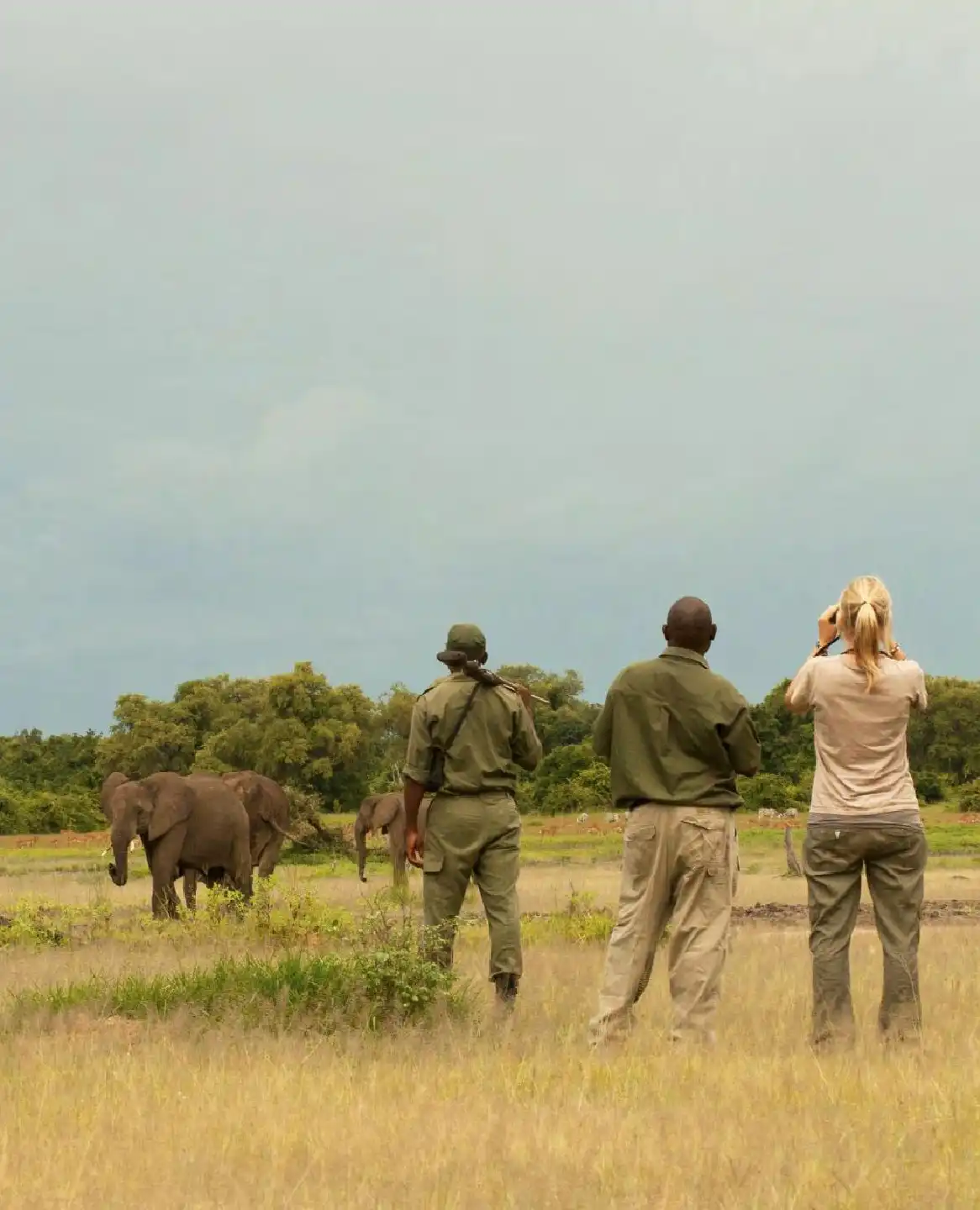 Things to Do in Tanzania 