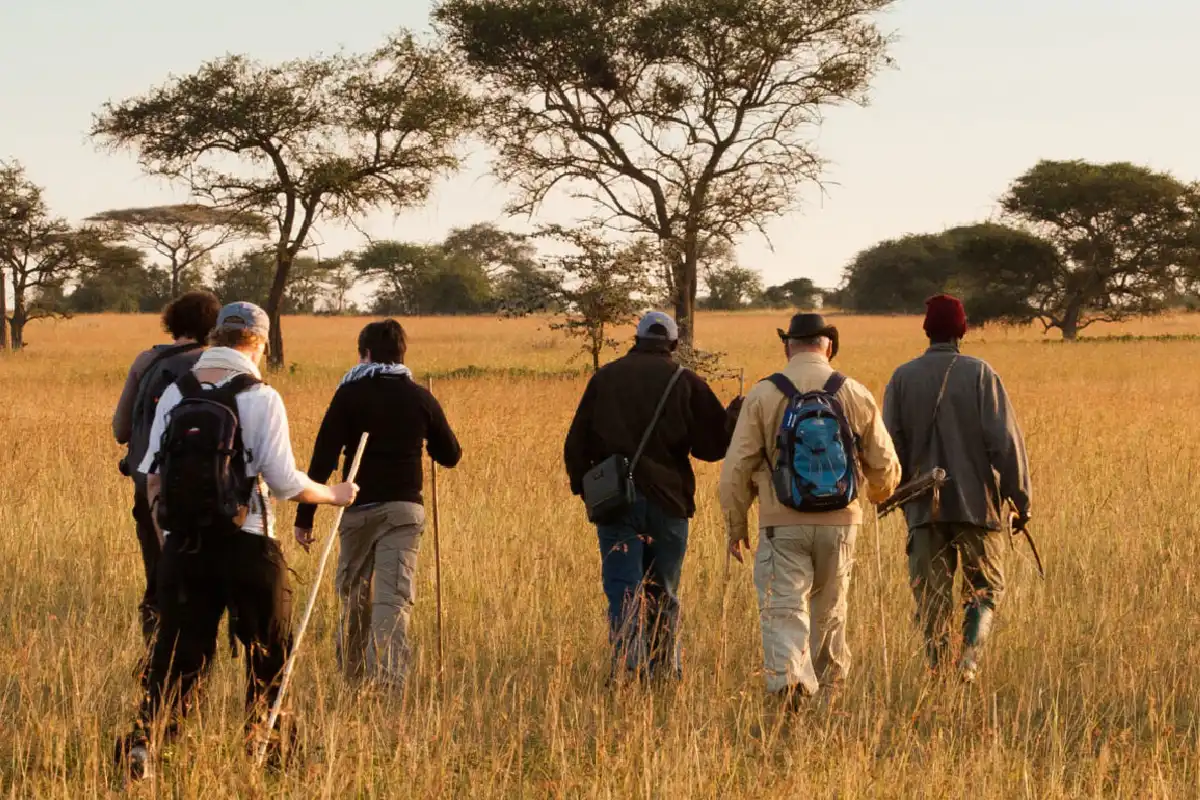 Things To Do In Tanzania