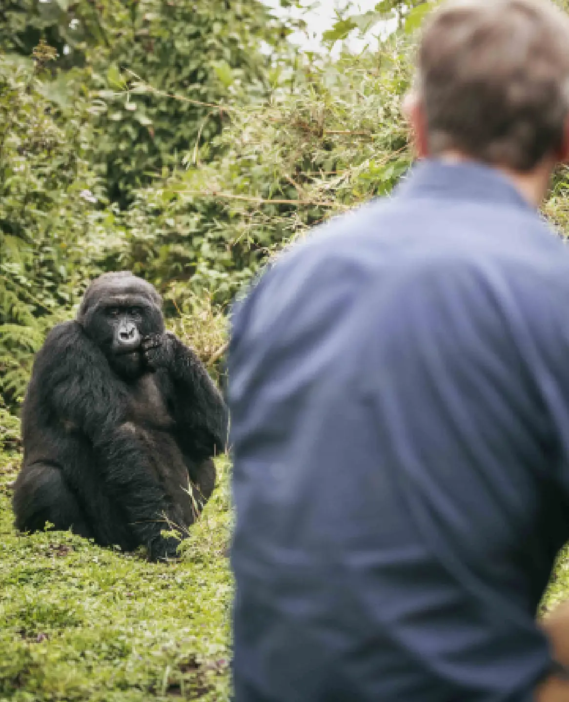 Explore Kenya’s wildlife, culture, beaches.