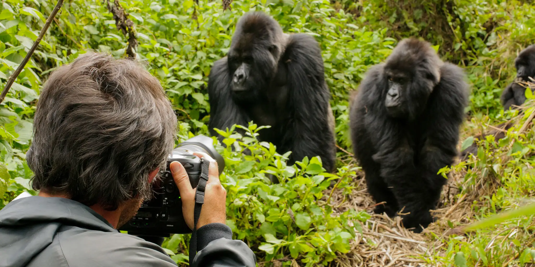 Things to Do in Uganda